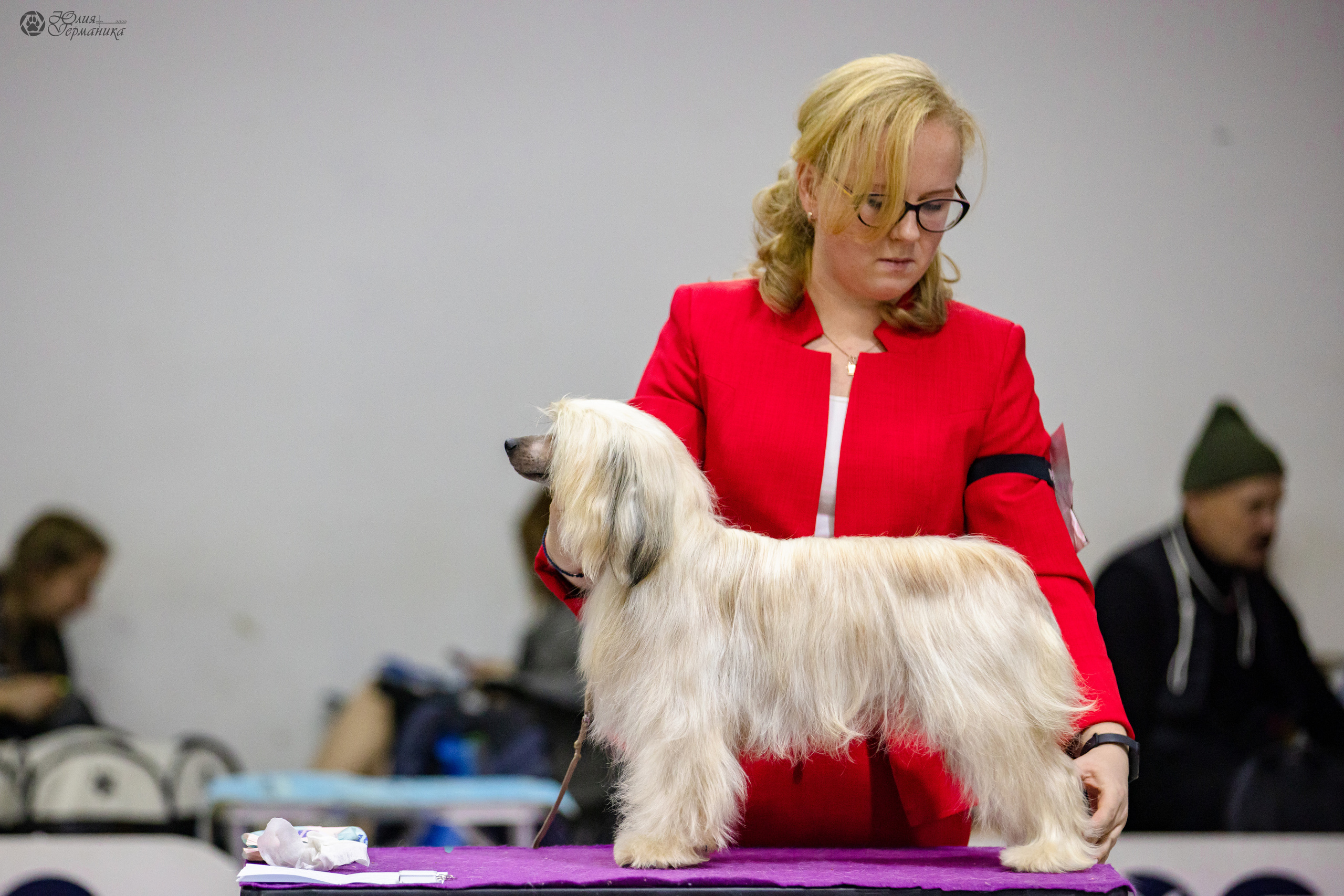 Чайна-Таун 3 и 12.11.2022. Фотограф-анималист Юлия Германика