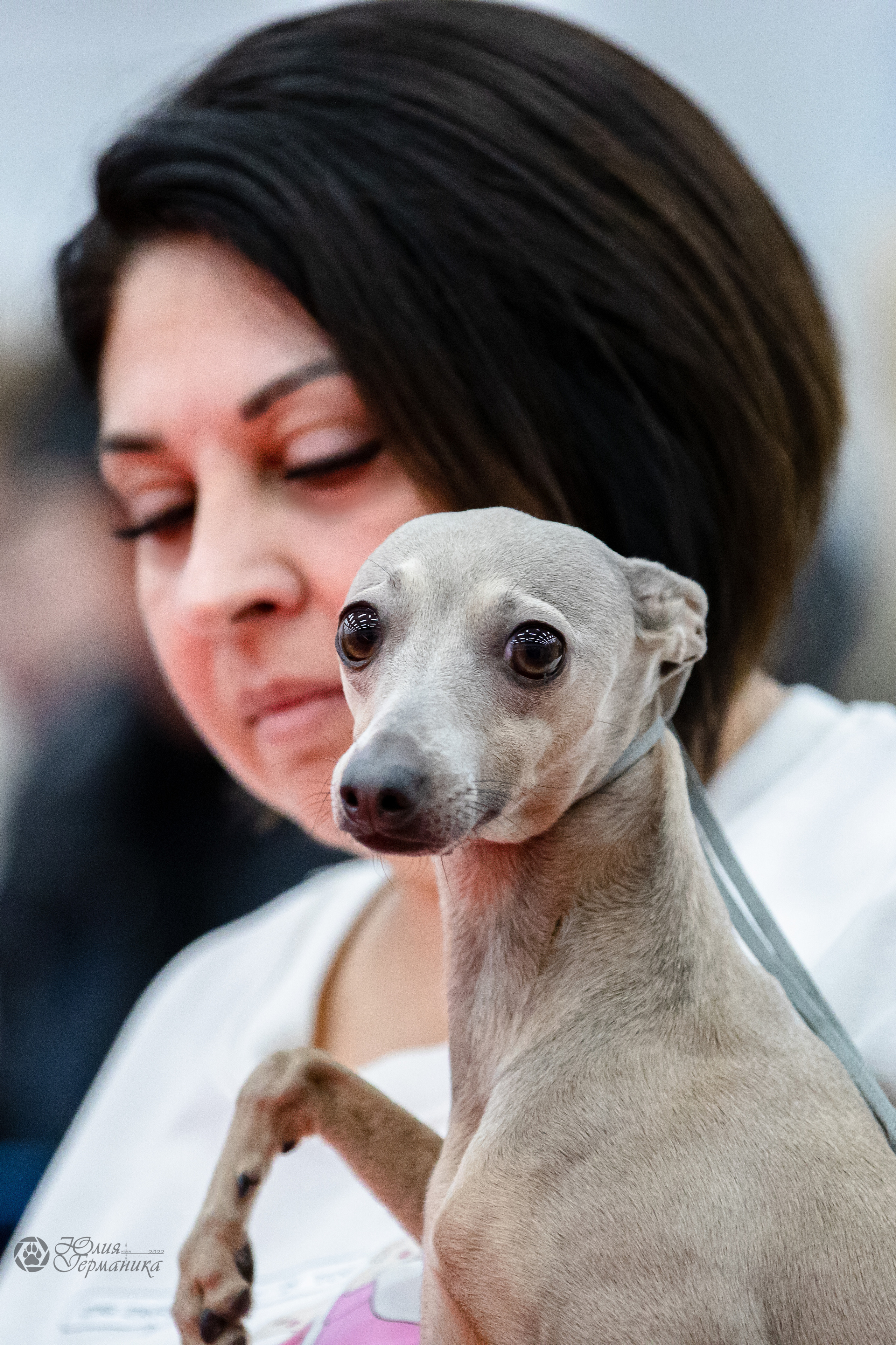 Нижний Новгород 15-16.10.2022. Фотограф-анималист Юлия Германика