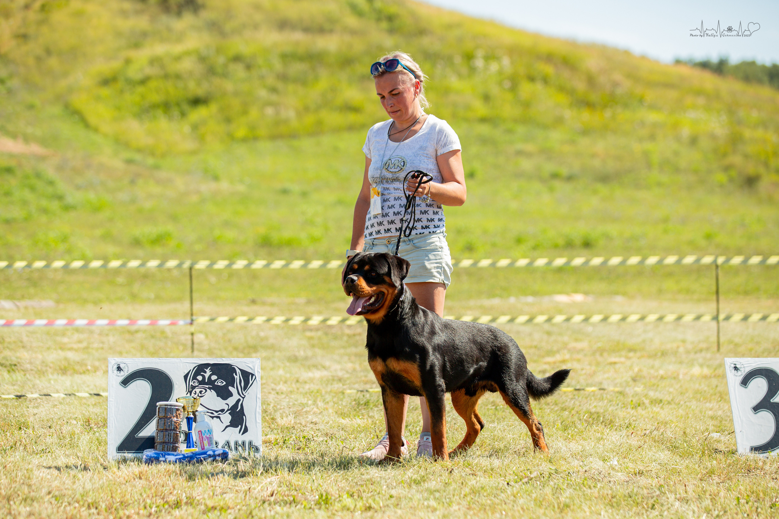 Рязань моно ротвейлеров 13.08.2022. Фотограф-анималист Юлия Германика