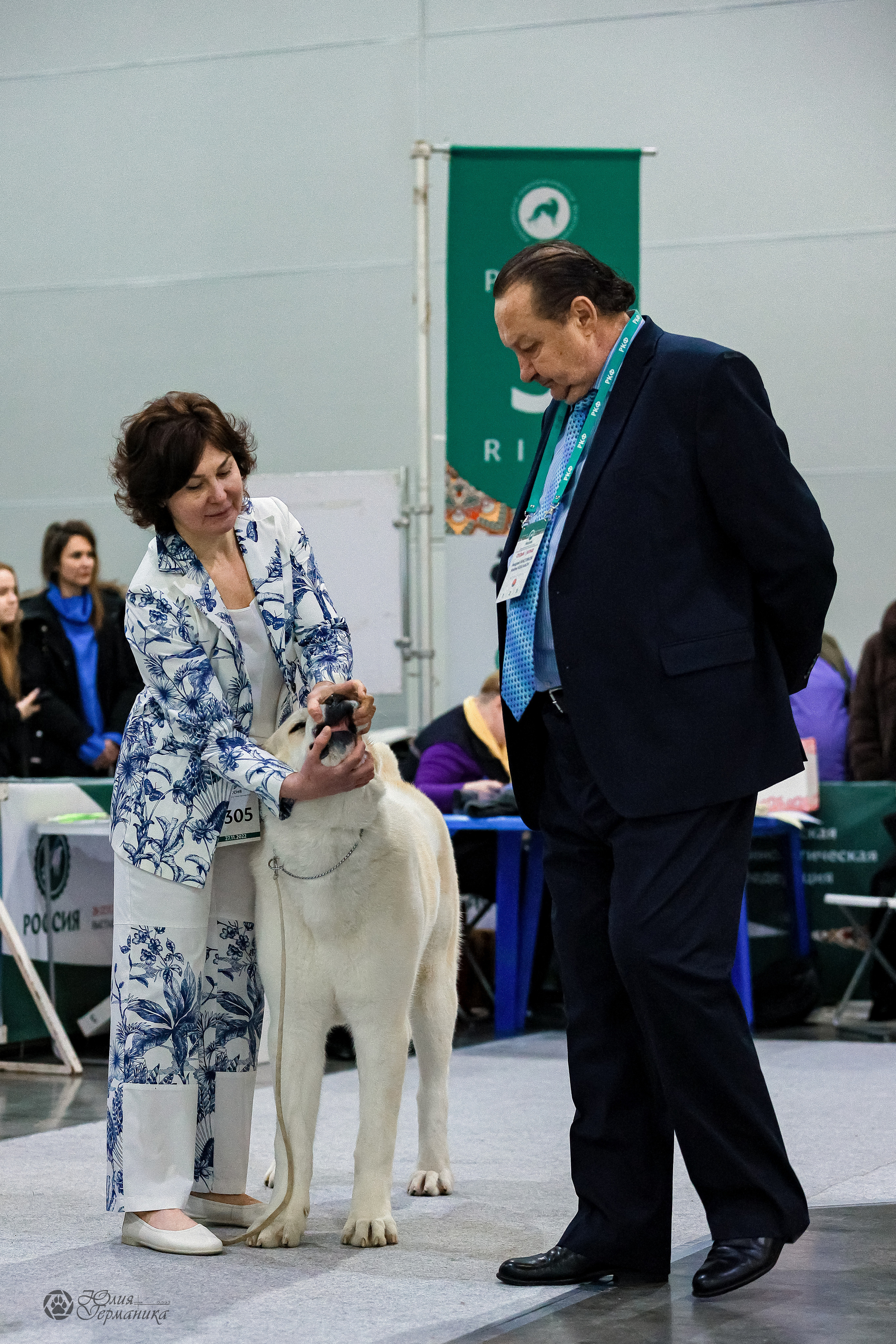 Россия 2020-2022 26-27.11.2022. Фотограф-анималист Юлия Германика