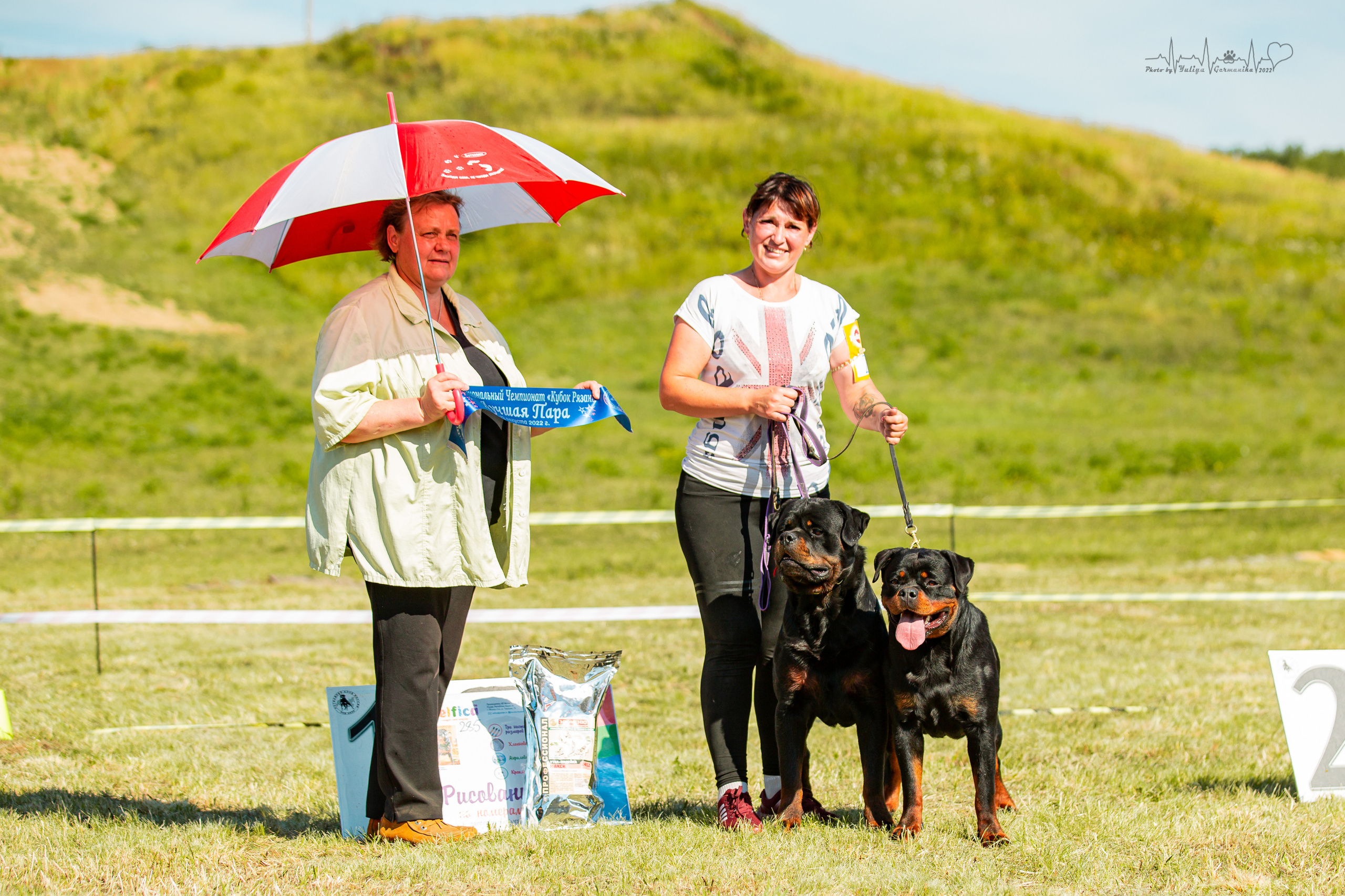 Рязань моно ротвейлеров 13.08.2022. Фотограф-анималист Юлия Германика