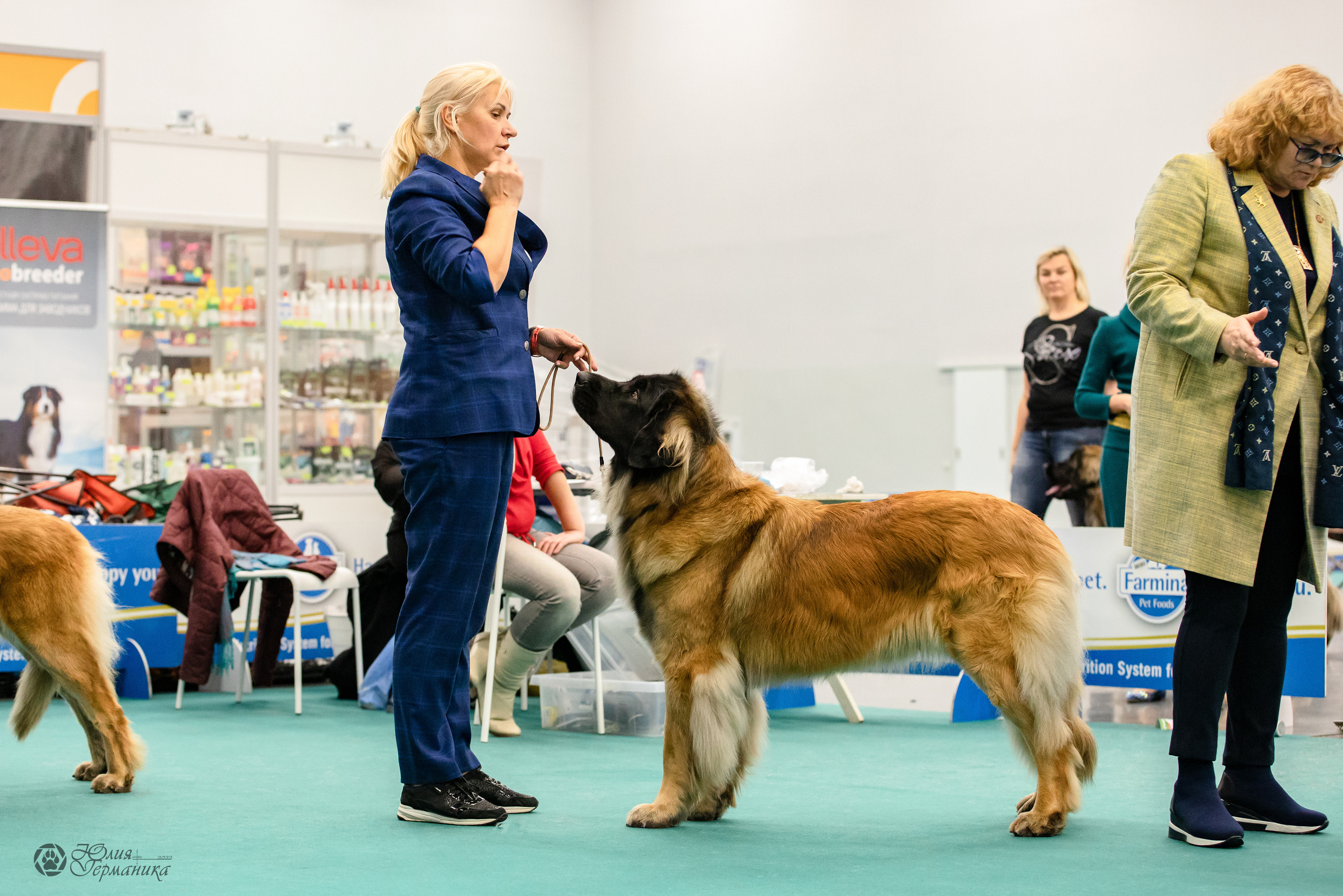 Нижний Новгород 15-16.10.2022. Фотограф-анималист Юлия Германика