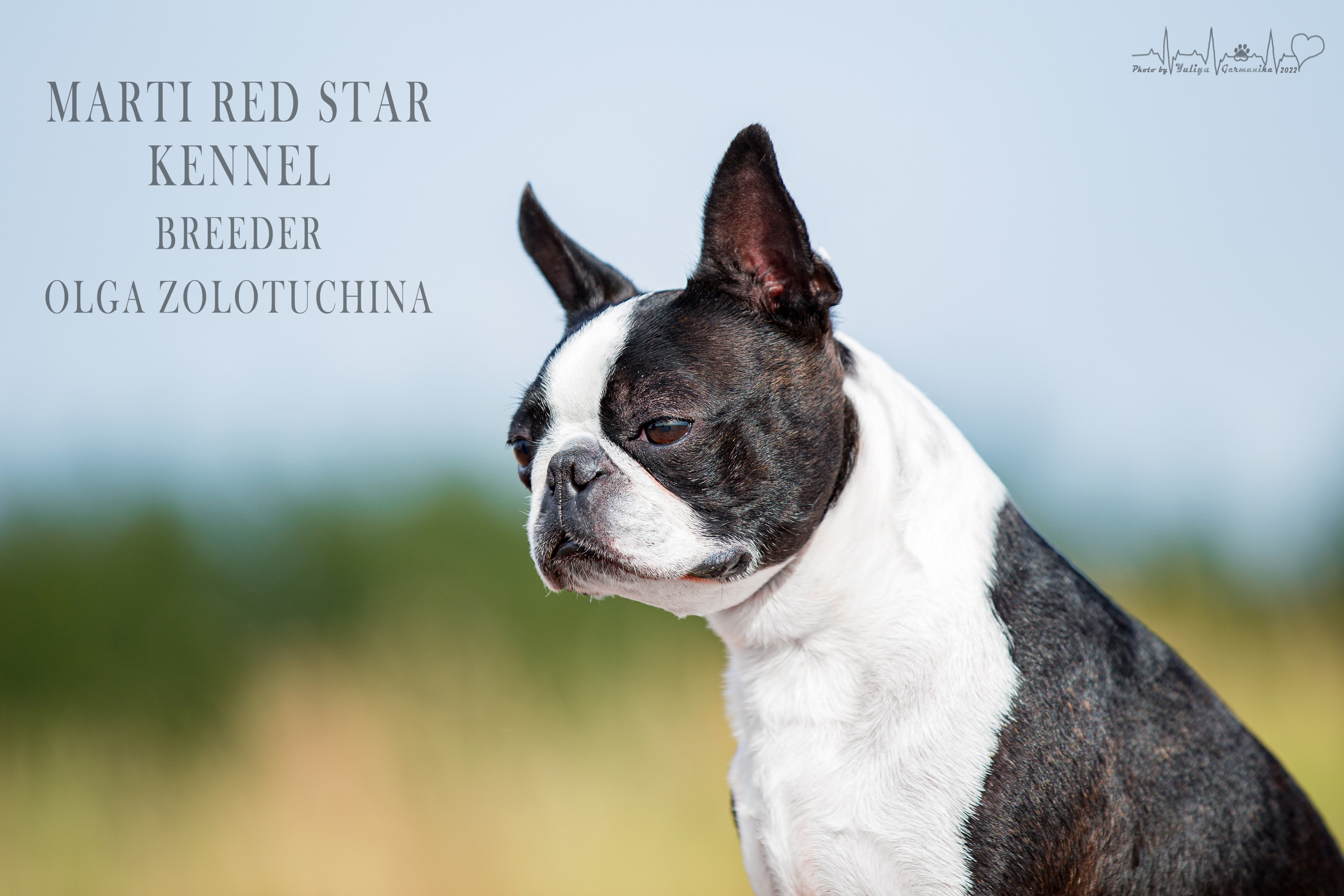 Сокольники 21.08,Сергиев Посад 27-28.08 2022. Фотограф-анималист Юлия Германика