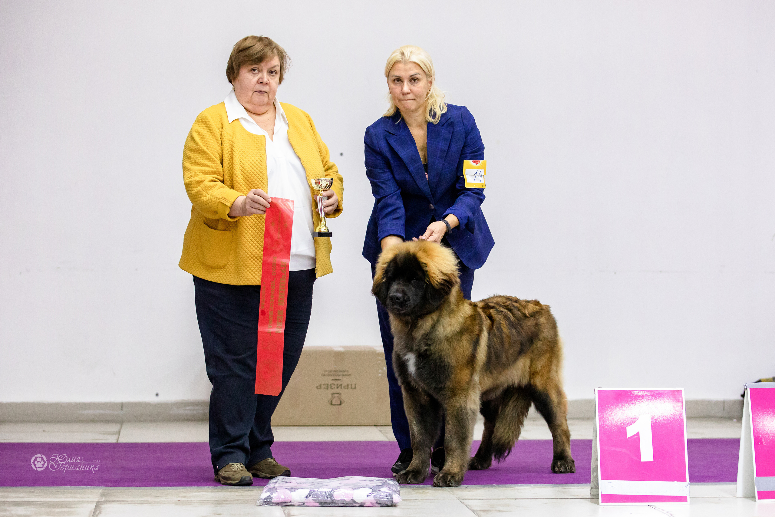 Чайна-Таун 29-30.10.2022. Фотограф-анималист Юлия Германика