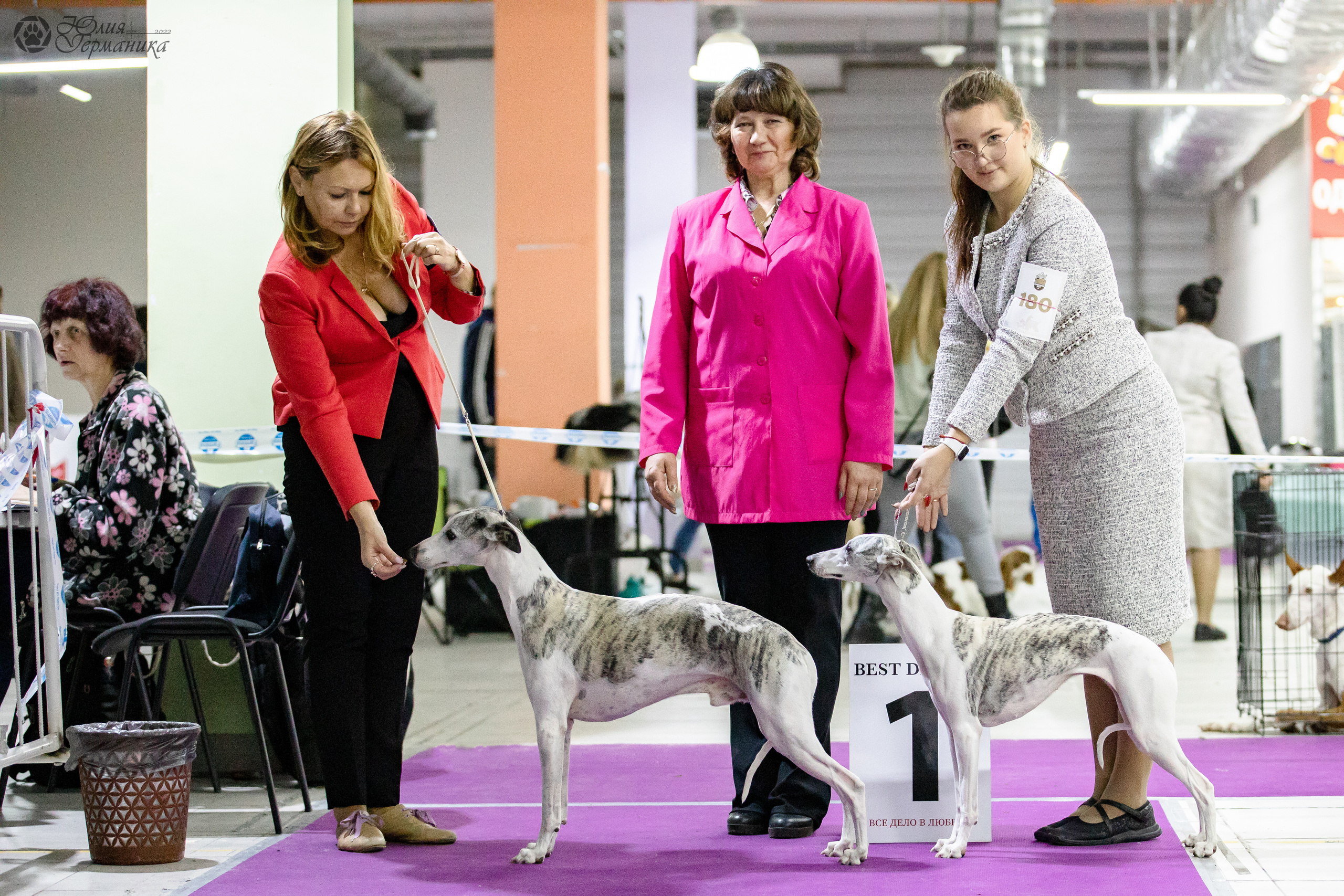 Чайна-Таун 29-30.10.2022. Фотограф-анималист Юлия Германика