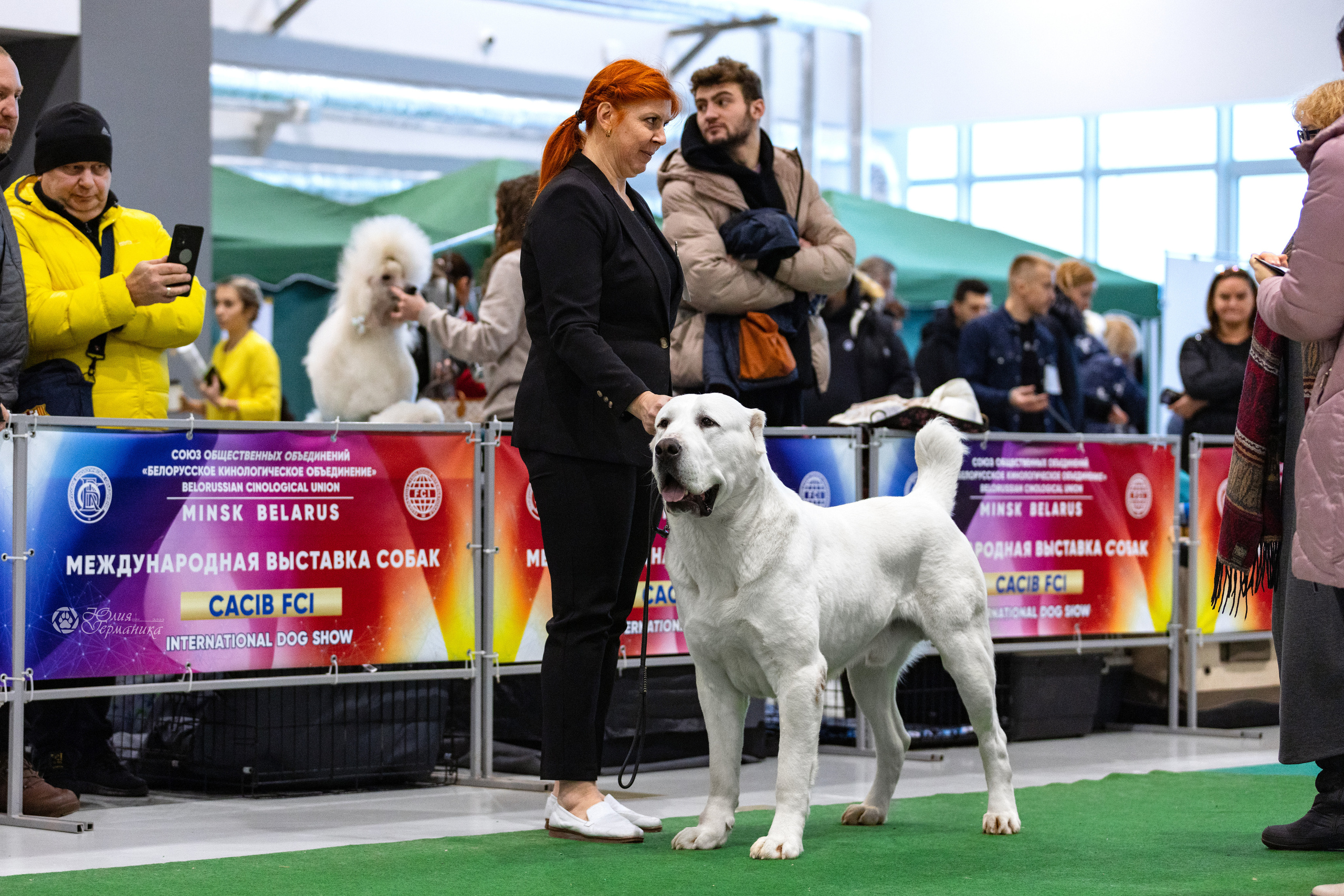 Минск 19-20.11.2022. Фотограф-анималист Юлия Германика