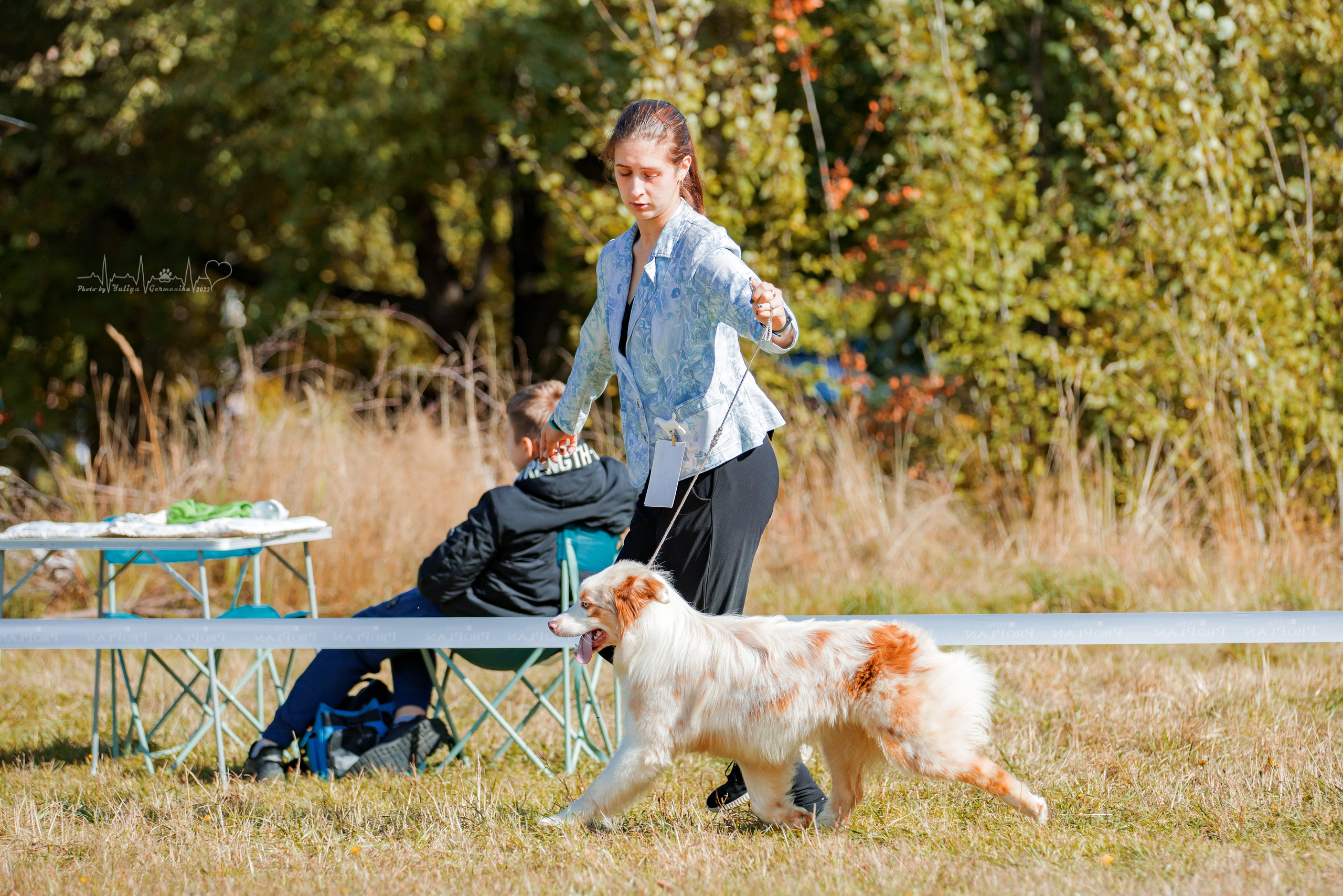 Пушкино ЧРКФ 17.09.2022. Фотограф-анималист Юлия Германика