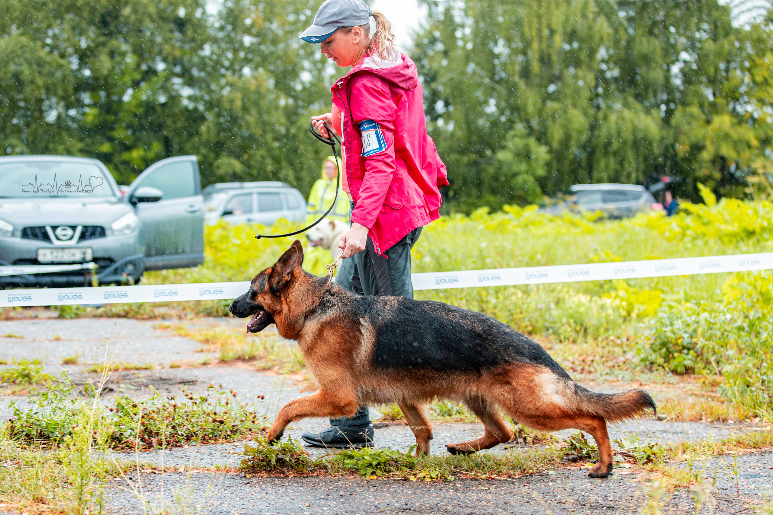 Ховрино 31.07,Чайна-Таун 6.08,Тверь 7.08. Фотограф-анималист Юлия Германика