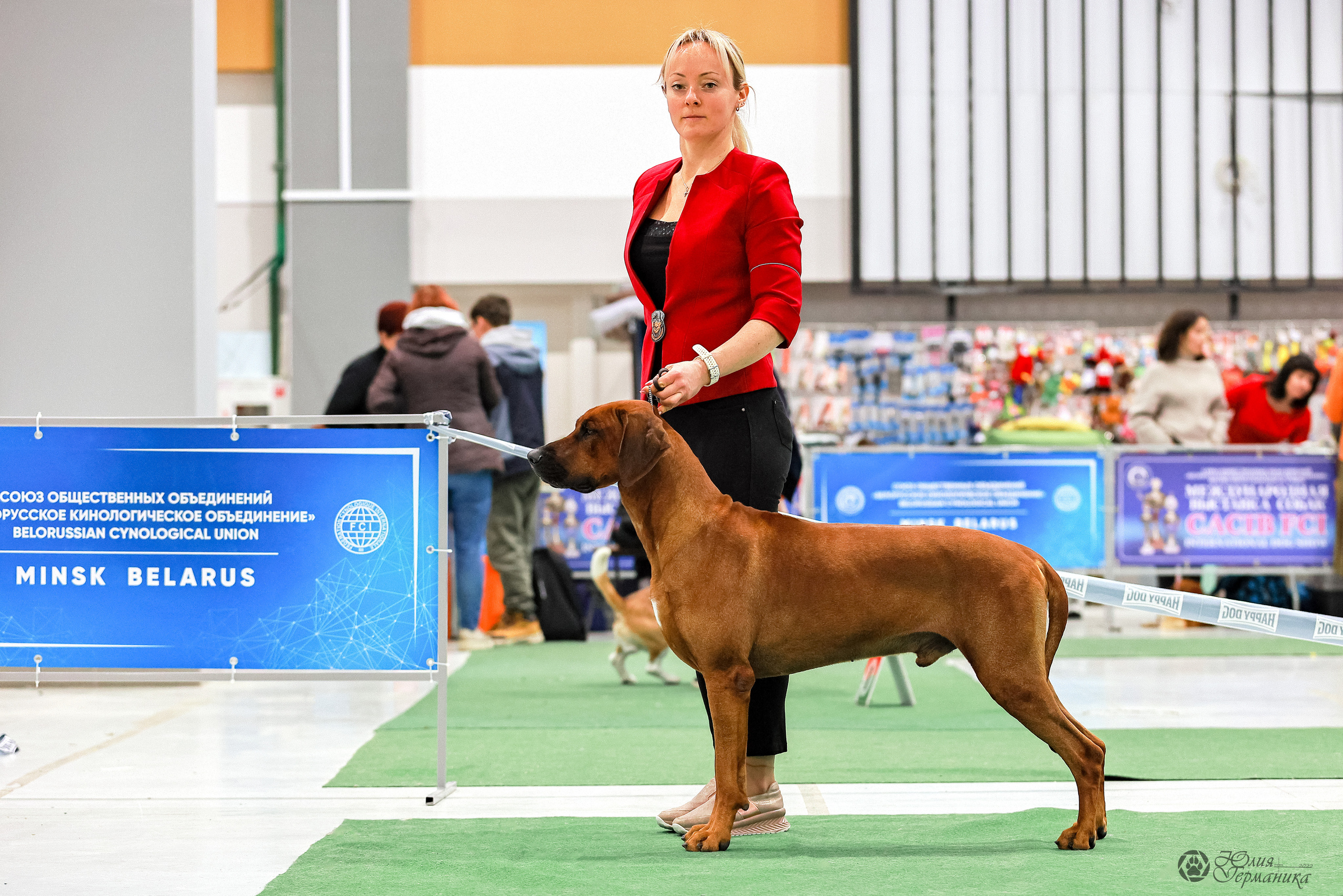 Минск 19-20.11.2022. Фотограф-анималист Юлия Германика