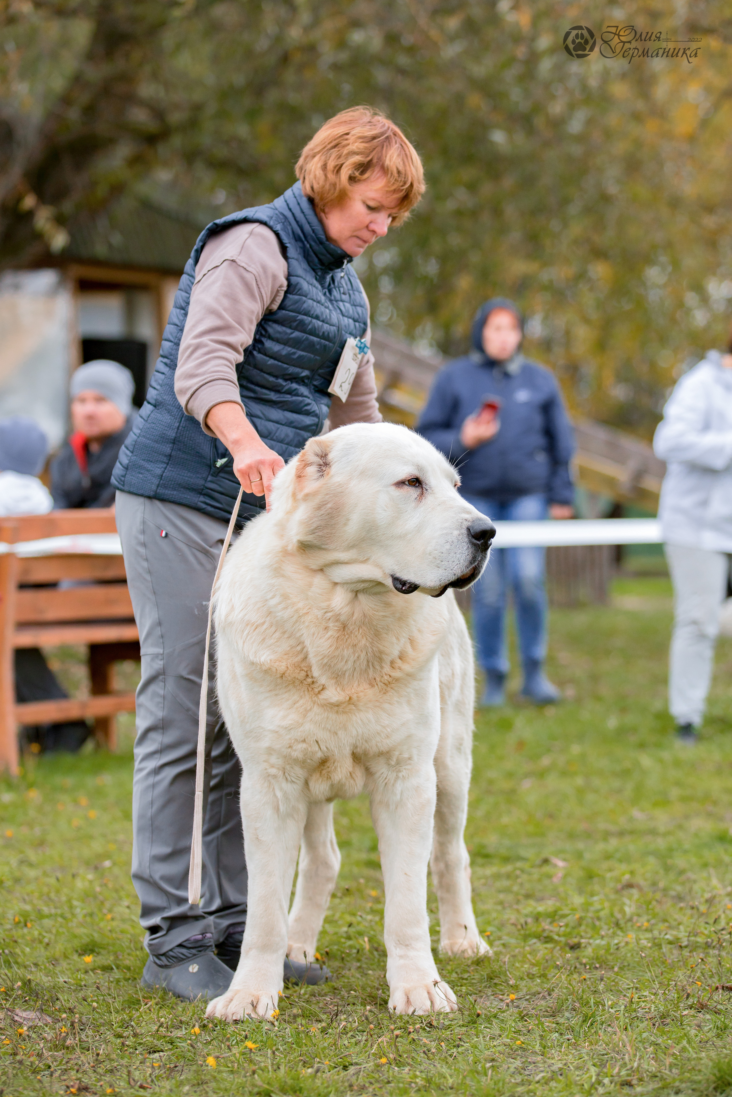 Александрова Слобода моно сао 2.10.2022. Фотограф-анималист Юлия Германика