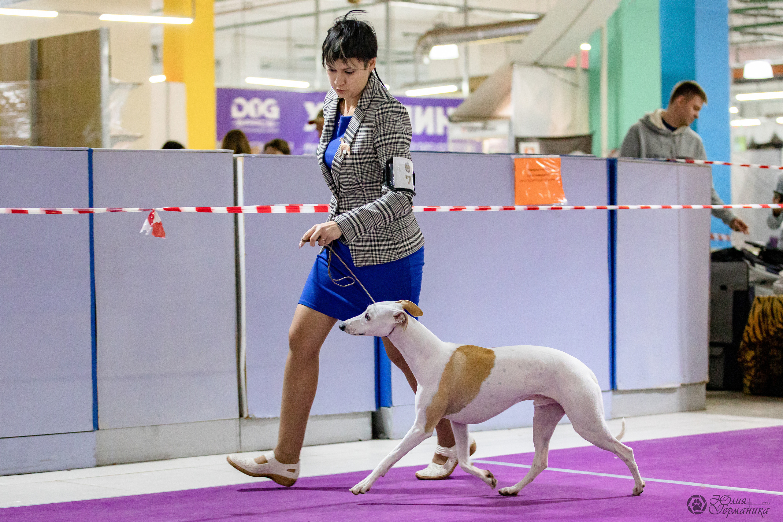 Чайна-Таун 29-30.10.2022. Фотограф-анималист Юлия Германика