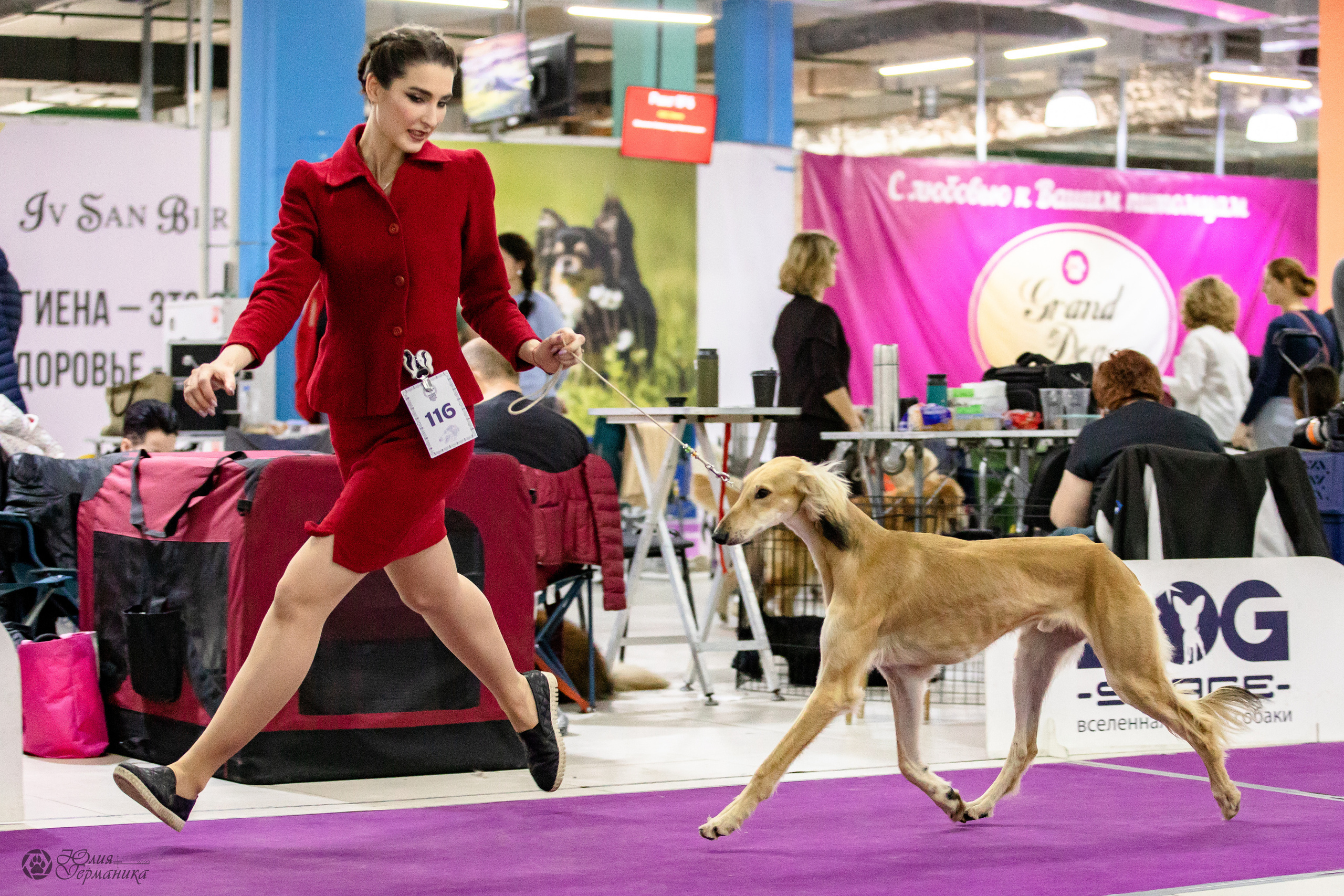 Чайна-Таун 29-30.10.2022. Фотограф-анималист Юлия Германика