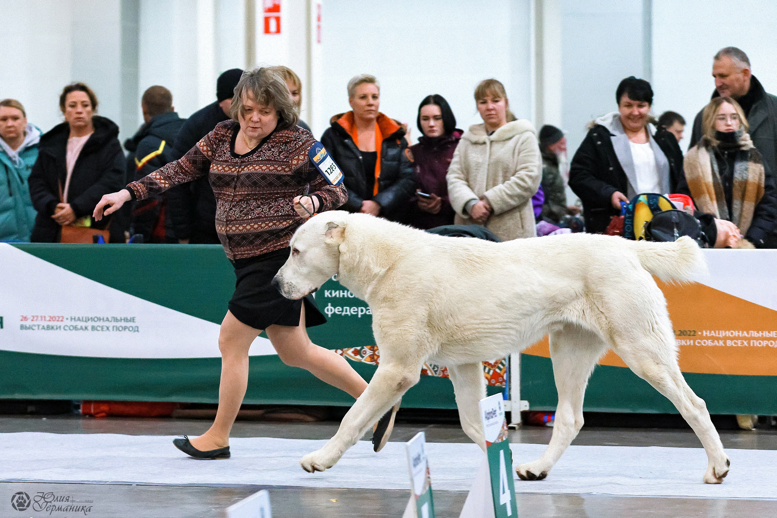 Россия 2020-2022 26-27.11.2022. Фотограф-анималист Юлия Германика