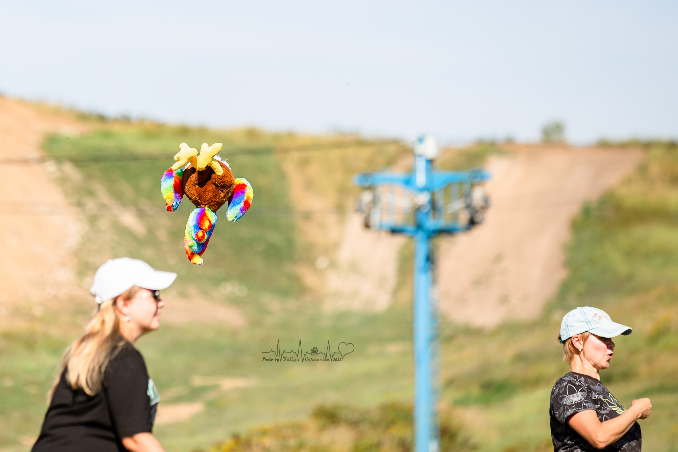 Рязань моно ротвейлеров 13.08.2022. Фотограф-анималист Юлия Германика