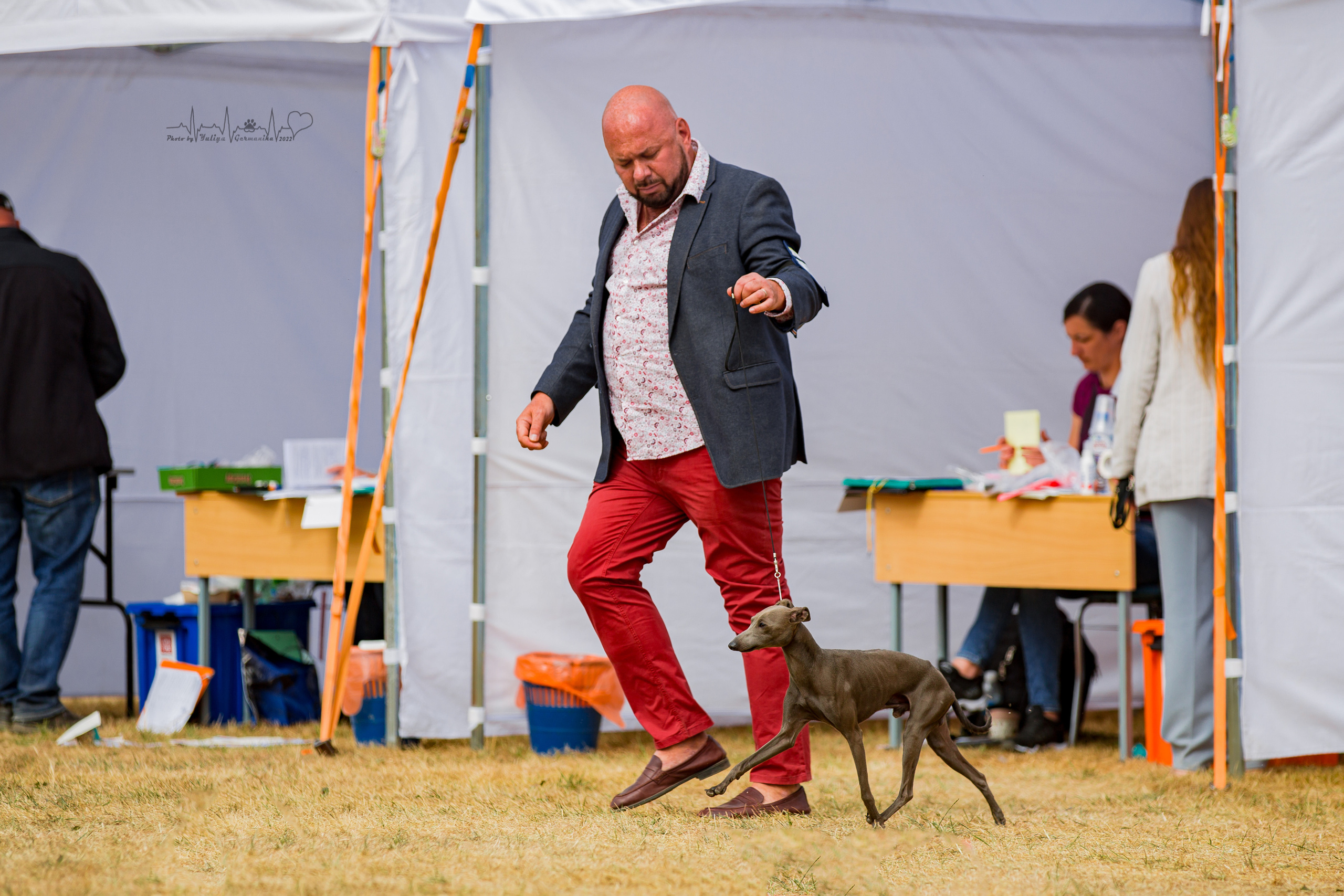 Минск 2хCACIB 3-4.09.2022. Фотограф-анималист Юлия Германика