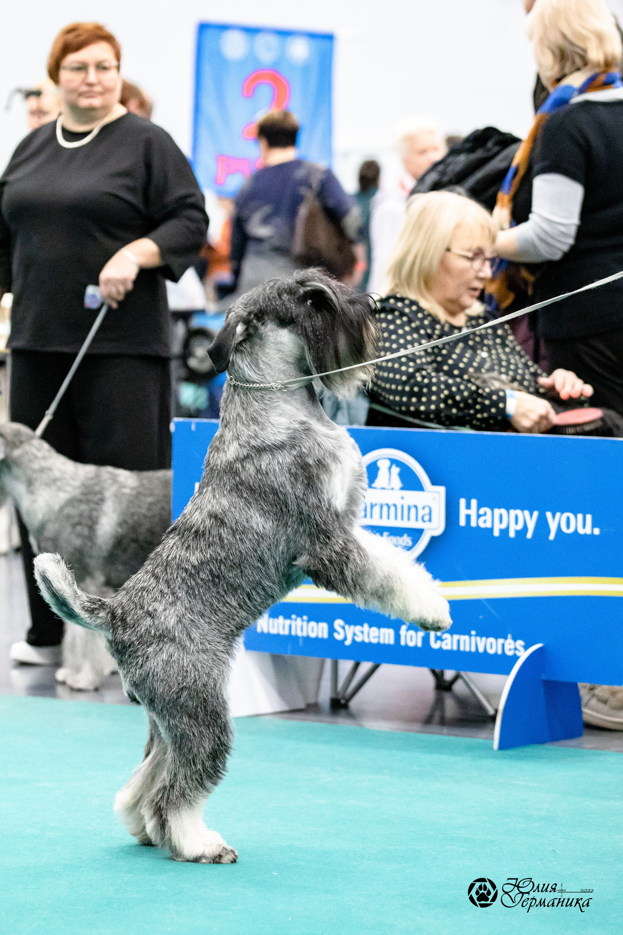 Нижний Новгород 15-16.10.2022. Фотограф-анималист Юлия Германика