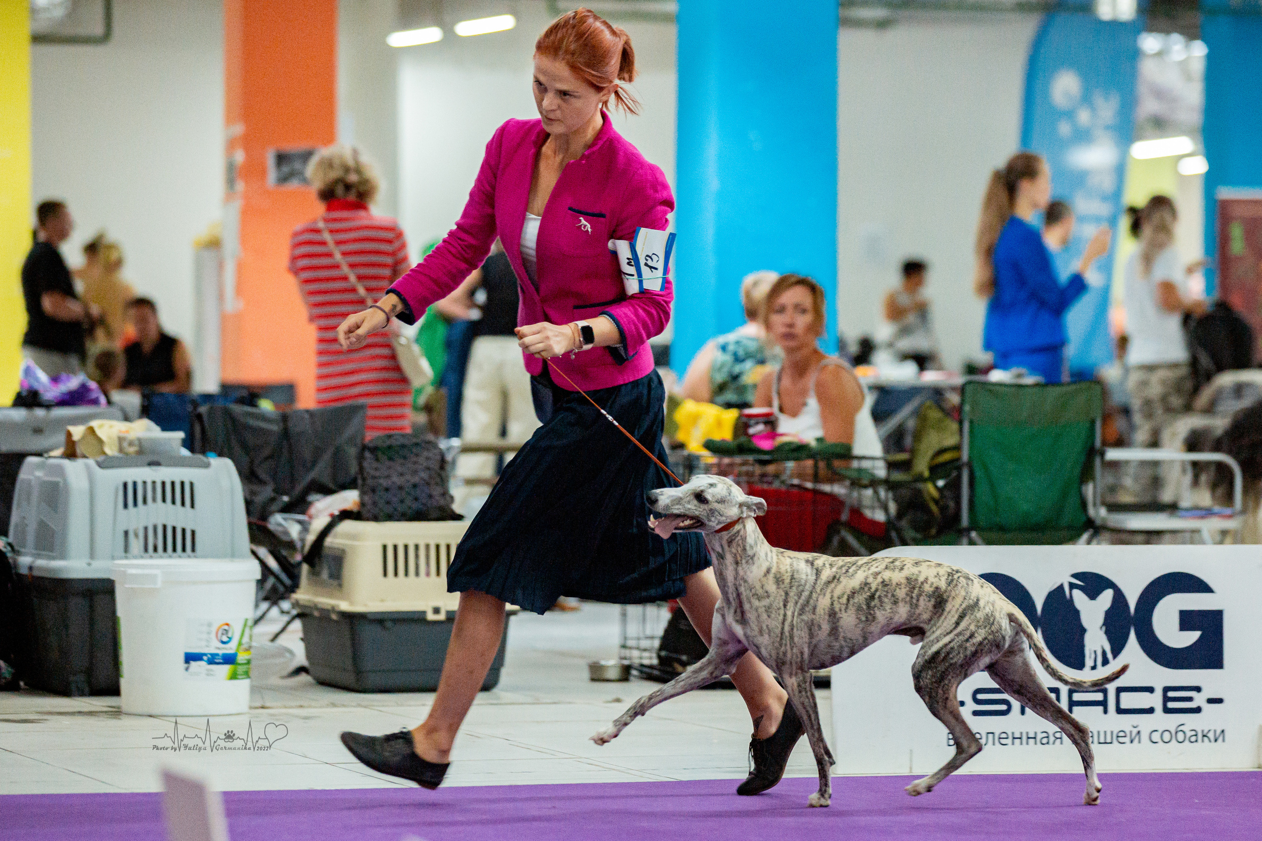 Ховрино 31.07,Чайна-Таун 6.08,Тверь 7.08. Фотограф-анималист Юлия Германика