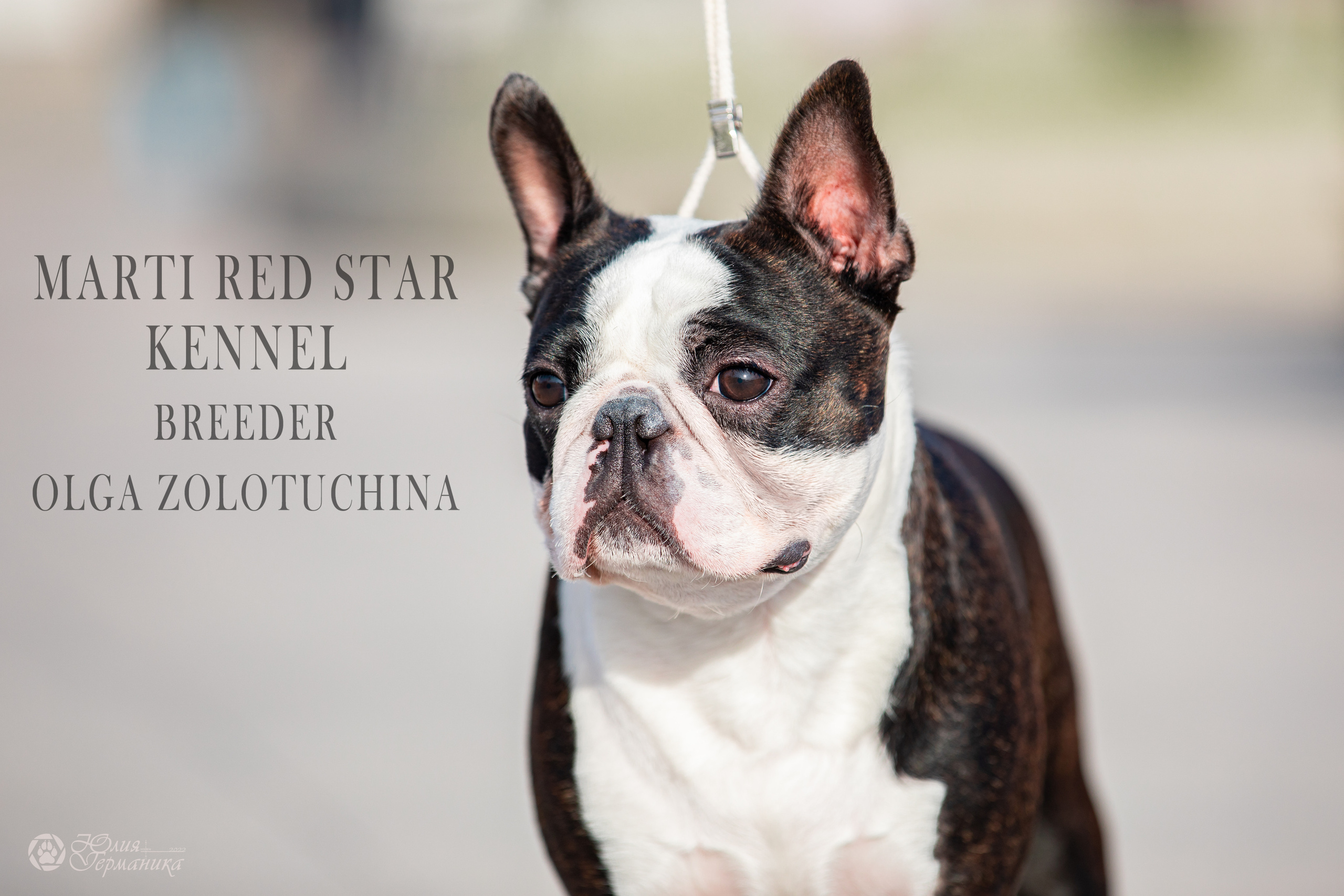 Нижний Новгород 15-16.10.2022. Фотограф-анималист Юлия Германика