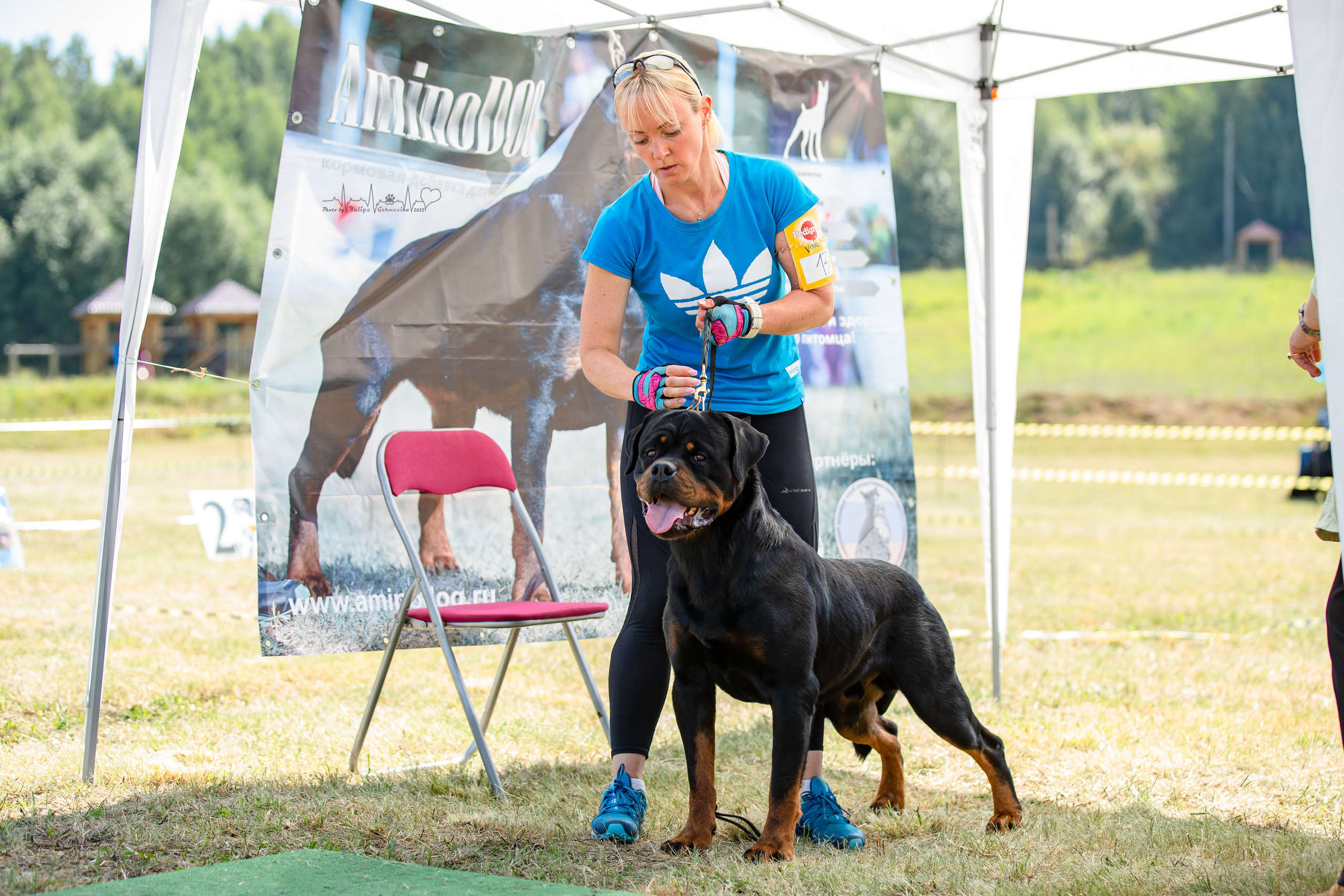 Рязань моно ротвейлеров 13.08.2022. Фотограф-анималист Юлия Германика