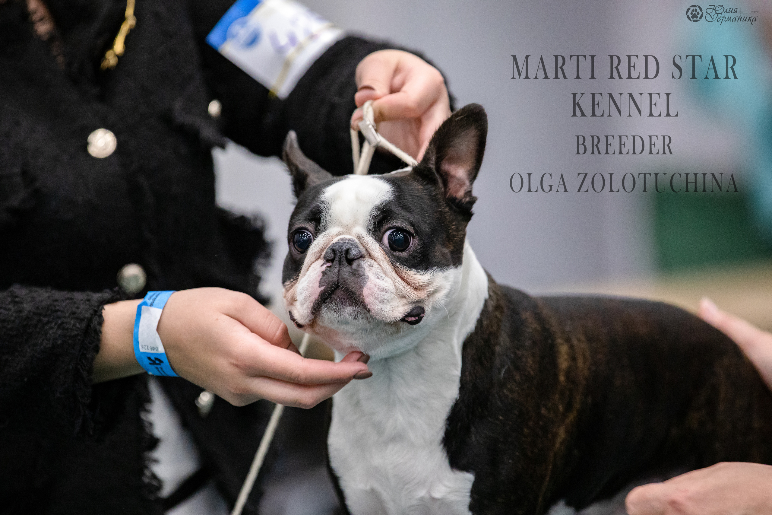 Нижний Новгород 15-16.10.2022. Фотограф-анималист Юлия Германика