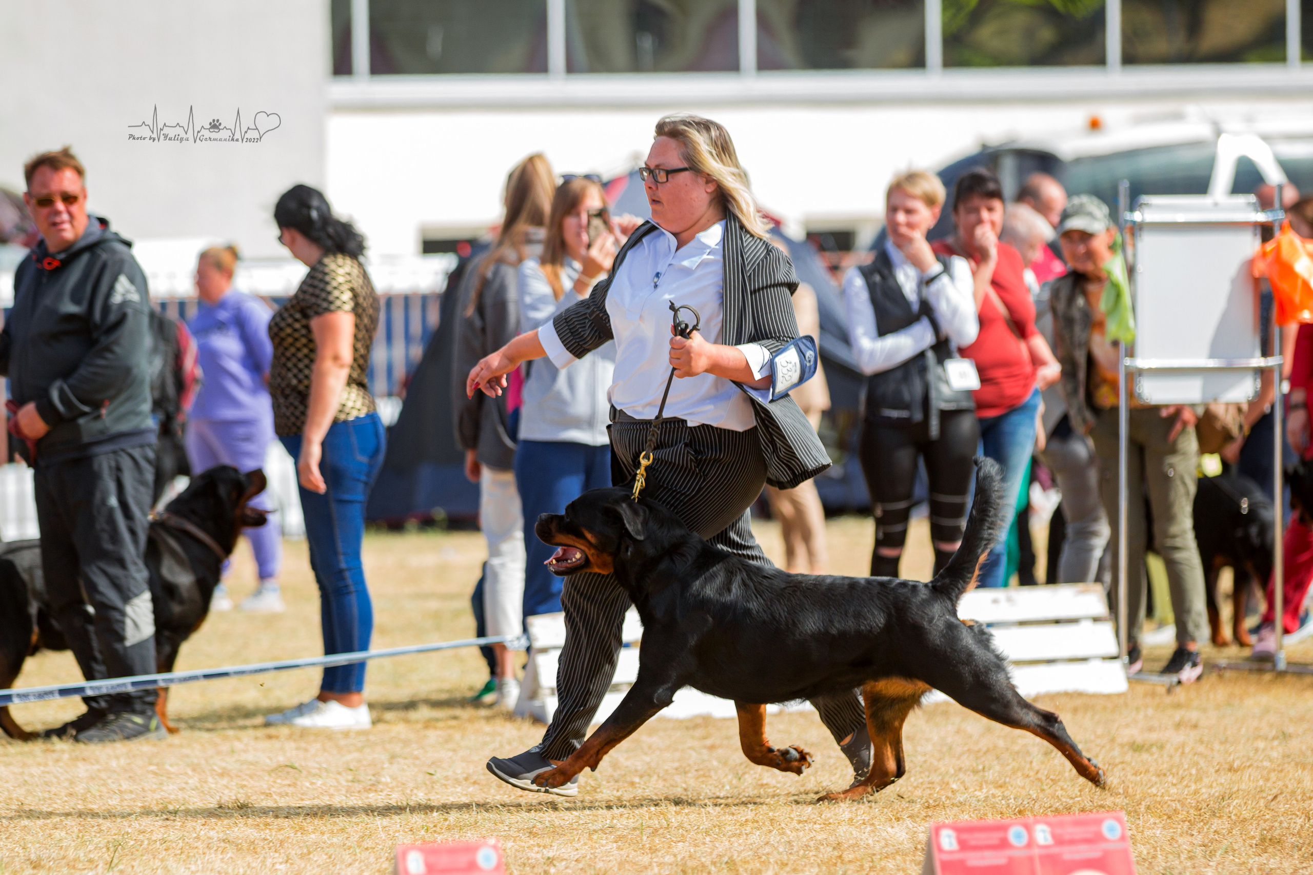 Минск 2хCACIB 3-4.09.2022. Фотограф-анималист Юлия Германика