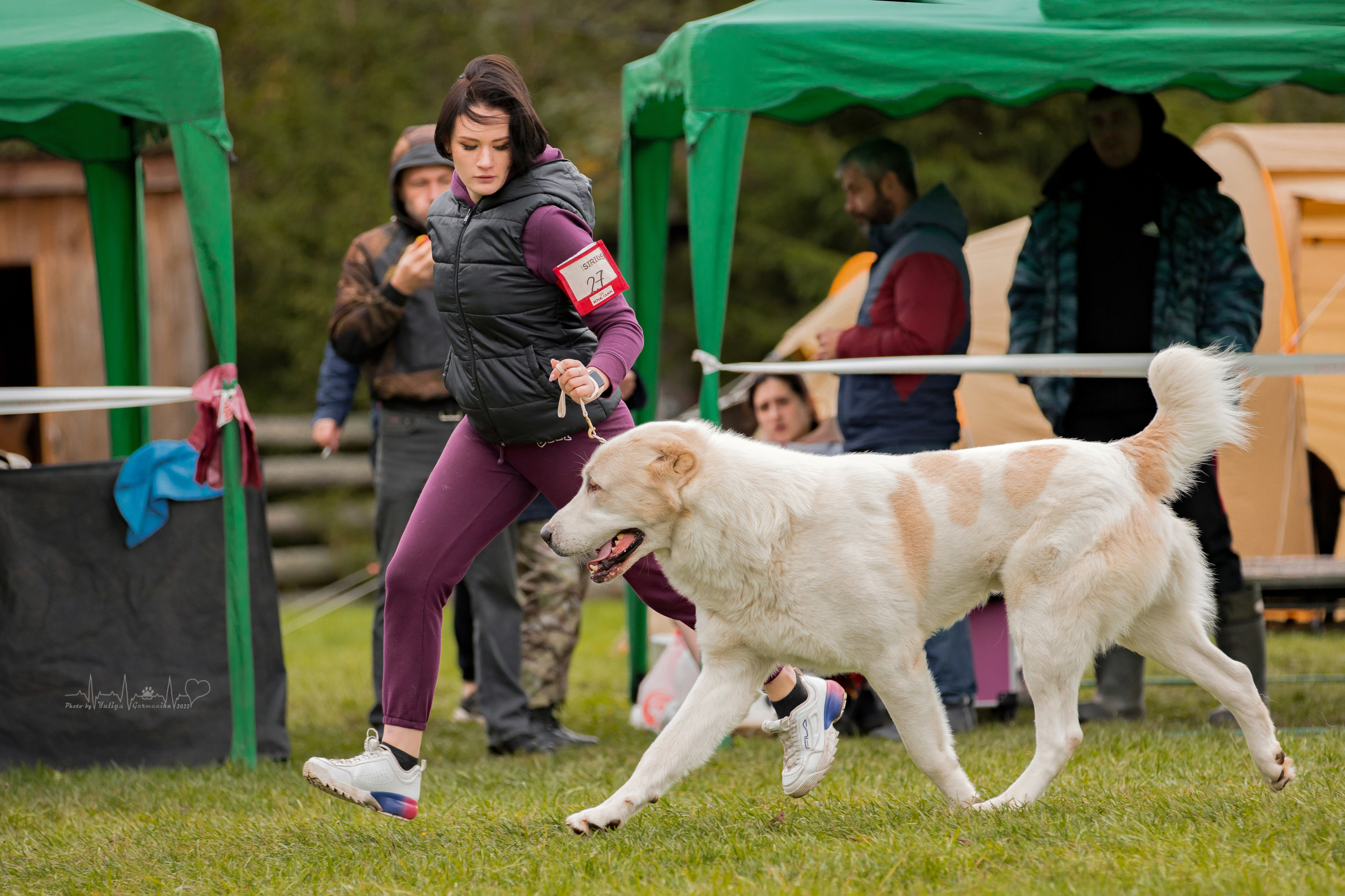 Александрова Слобода моно сао 2.10.2022. Фотограф-анималист Юлия Германика