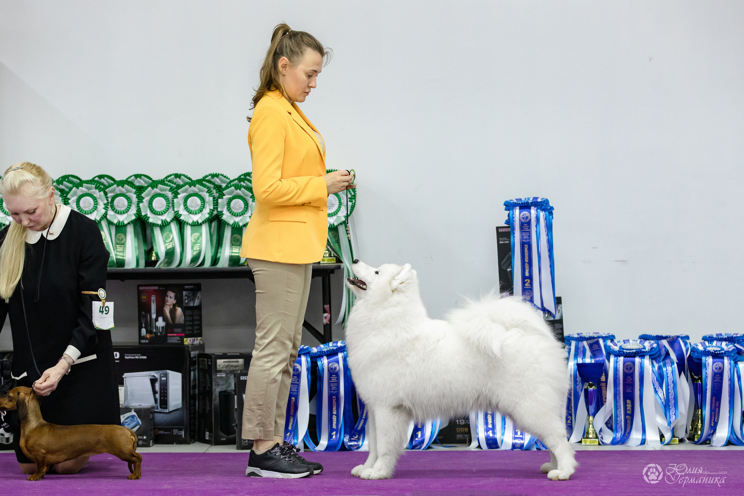 Чайна-Таун 29-30.10.2022. Фотограф-анималист Юлия Германика