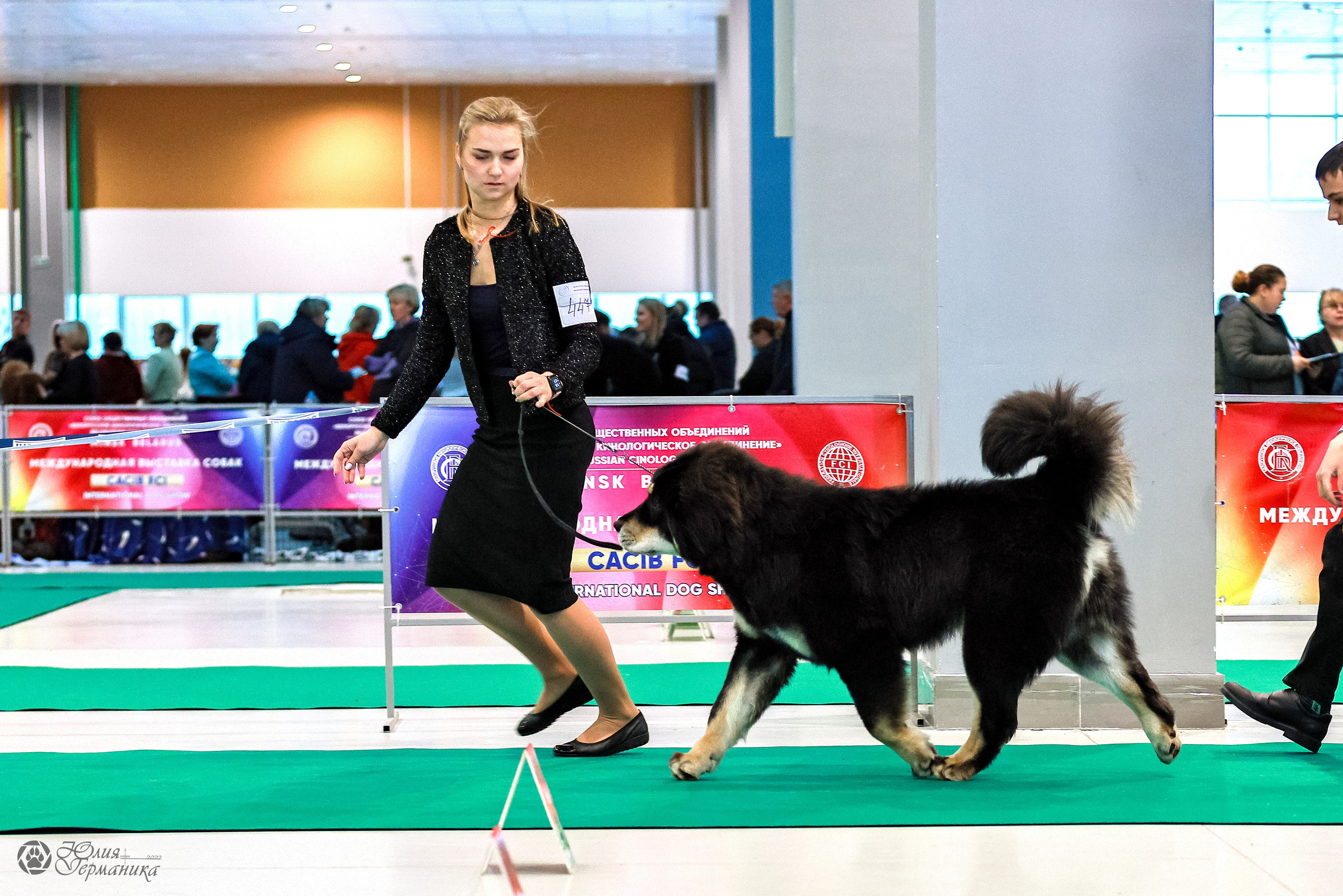 Минск 19-20.11.2022. Фотограф-анималист Юлия Германика