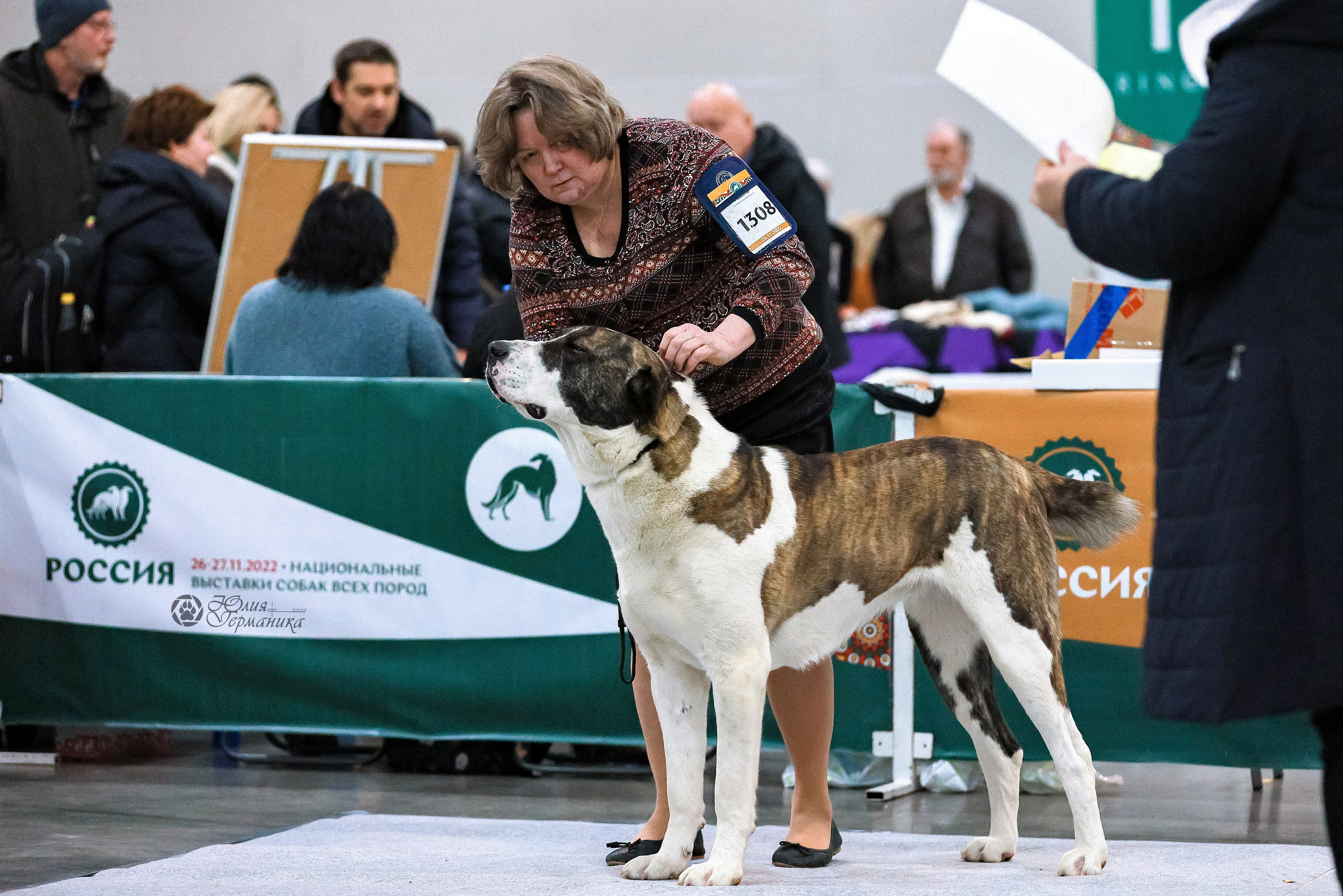 Россия 2020-2022 26-27.11.2022. Фотограф-анималист Юлия Германика