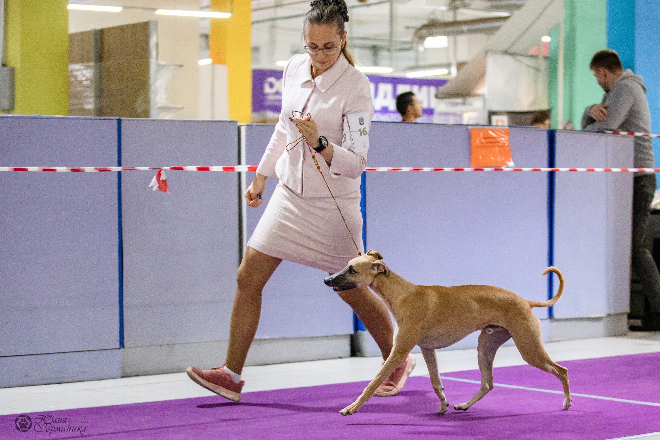 Чайна-Таун 29-30.10.2022. Фотограф-анималист Юлия Германика