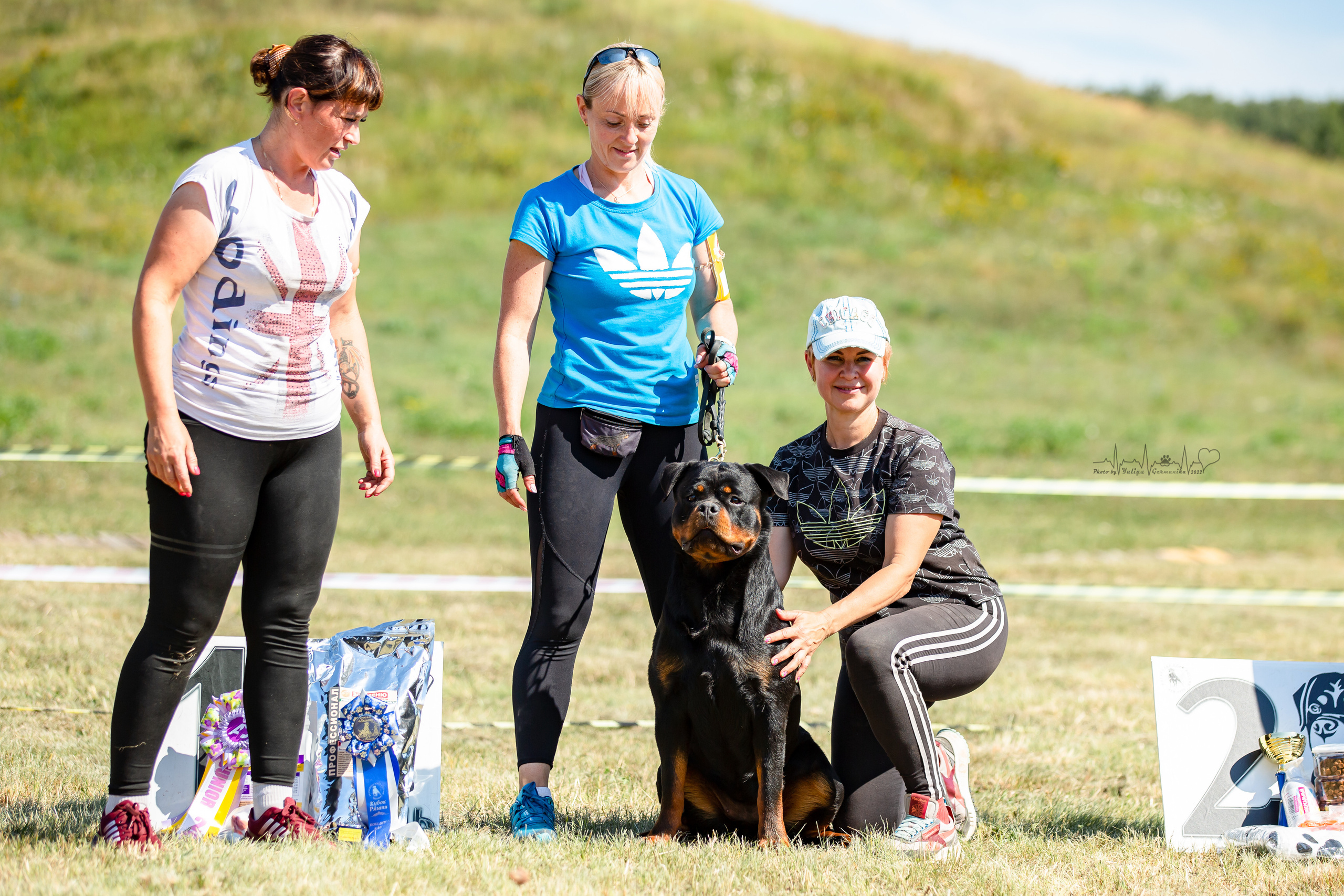 Рязань моно ротвейлеров 13.08.2022. Фотограф-анималист Юлия Германика