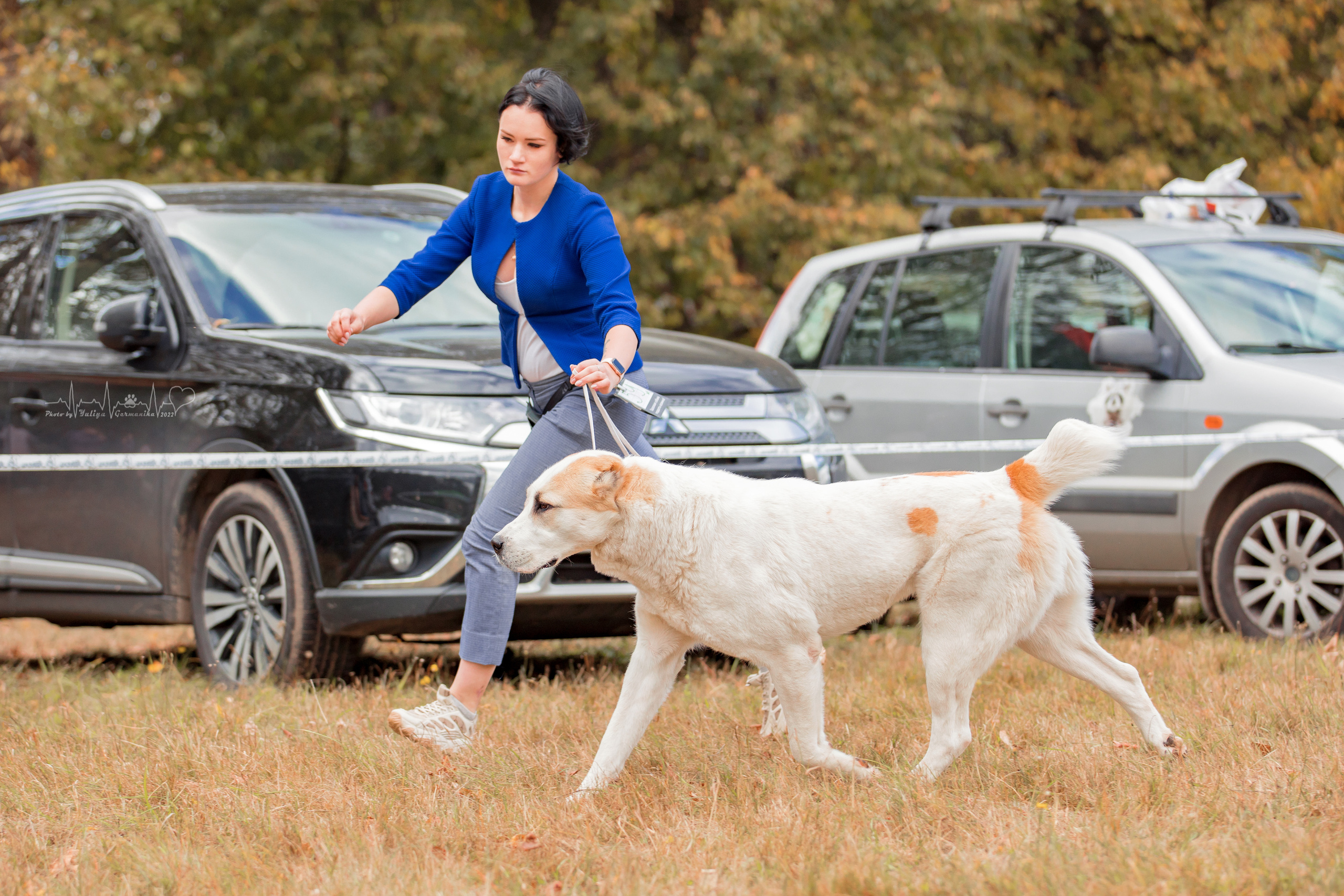 Пушкино ЧРКФ 17.09.2022. Фотограф-анималист Юлия Германика