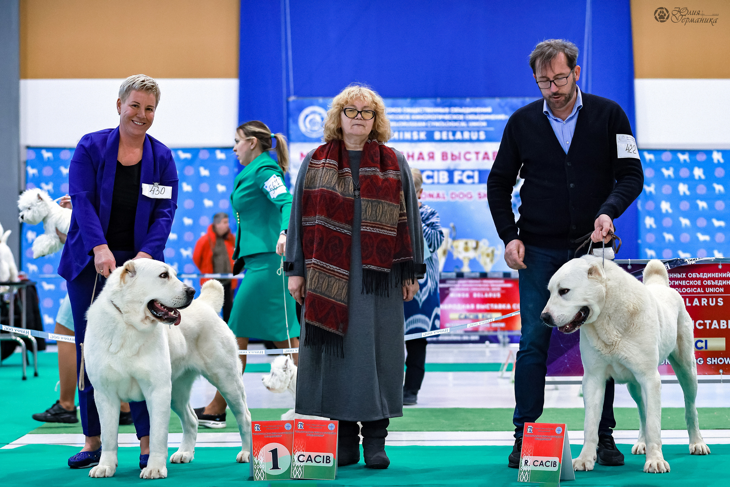 Минск 19-20.11.2022. Фотограф-анималист Юлия Германика