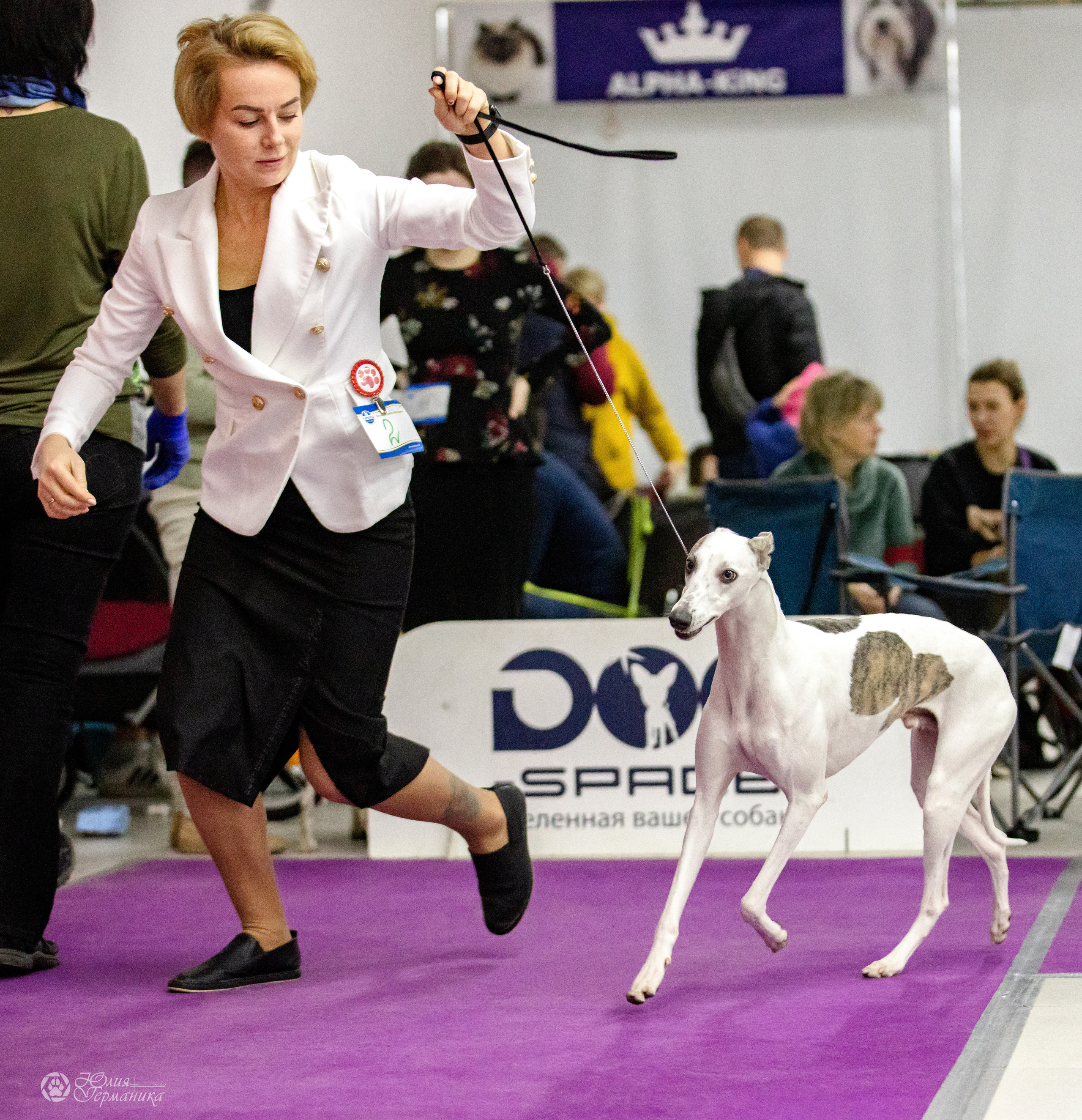 Чайна-Таун 3 и 12.11.2022. Фотограф-анималист Юлия Германика