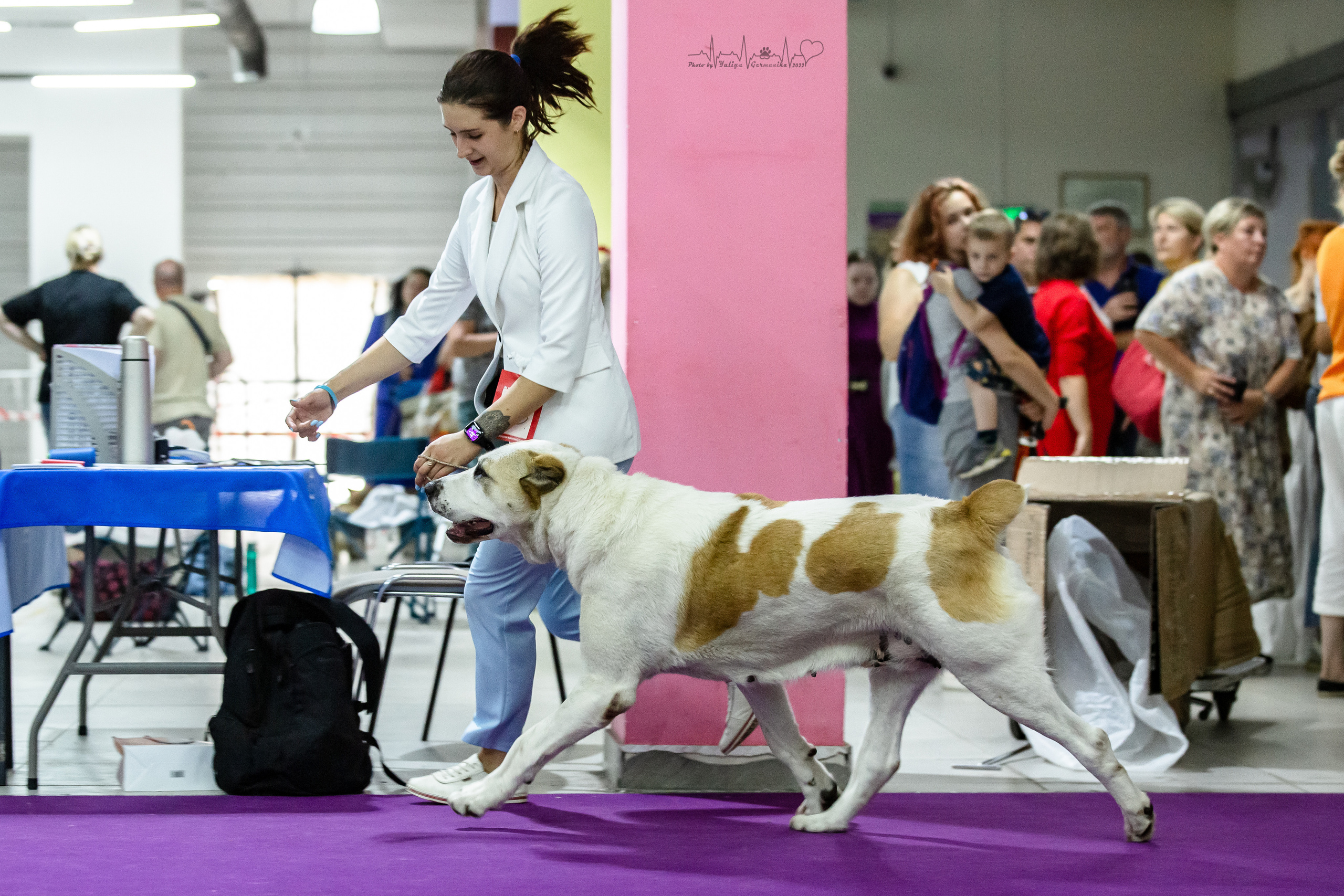 Ховрино 31.07,Чайна-Таун 6.08,Тверь 7.08. Фотограф-анималист Юлия Германика