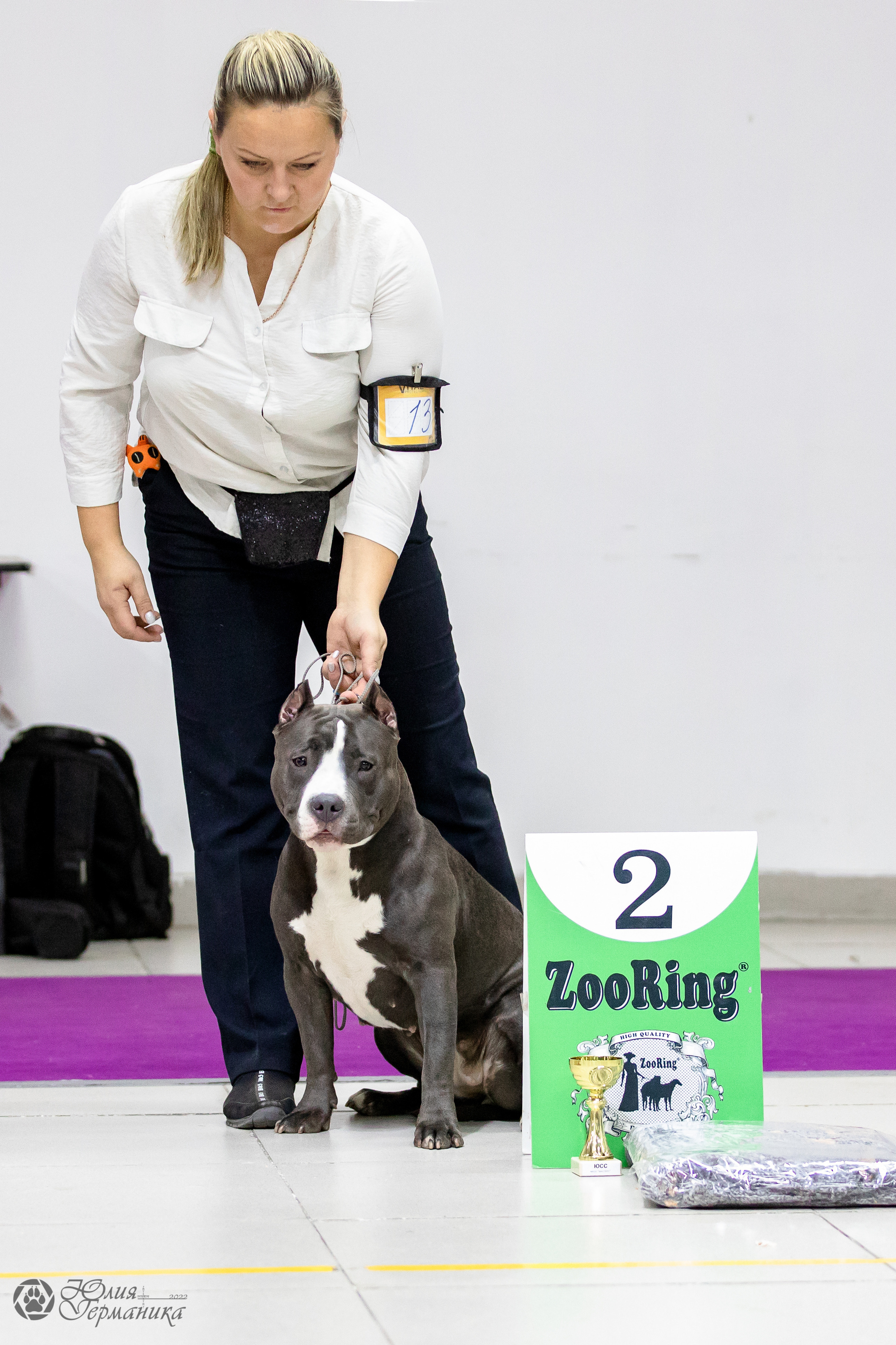 Чайна-Таун 29-30.10.2022. Фотограф-анималист Юлия Германика