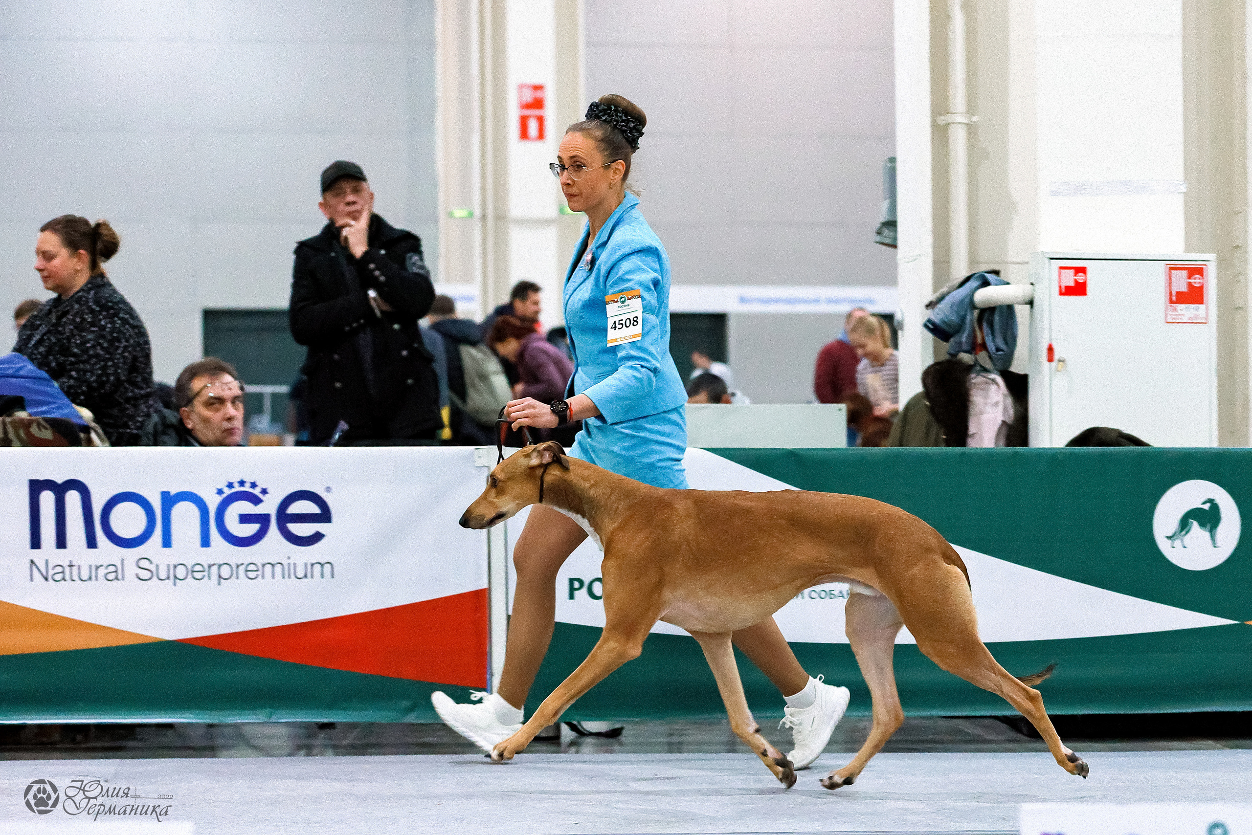 Россия 2020-2022 26-27.11.2022. Фотограф-анималист Юлия Германика