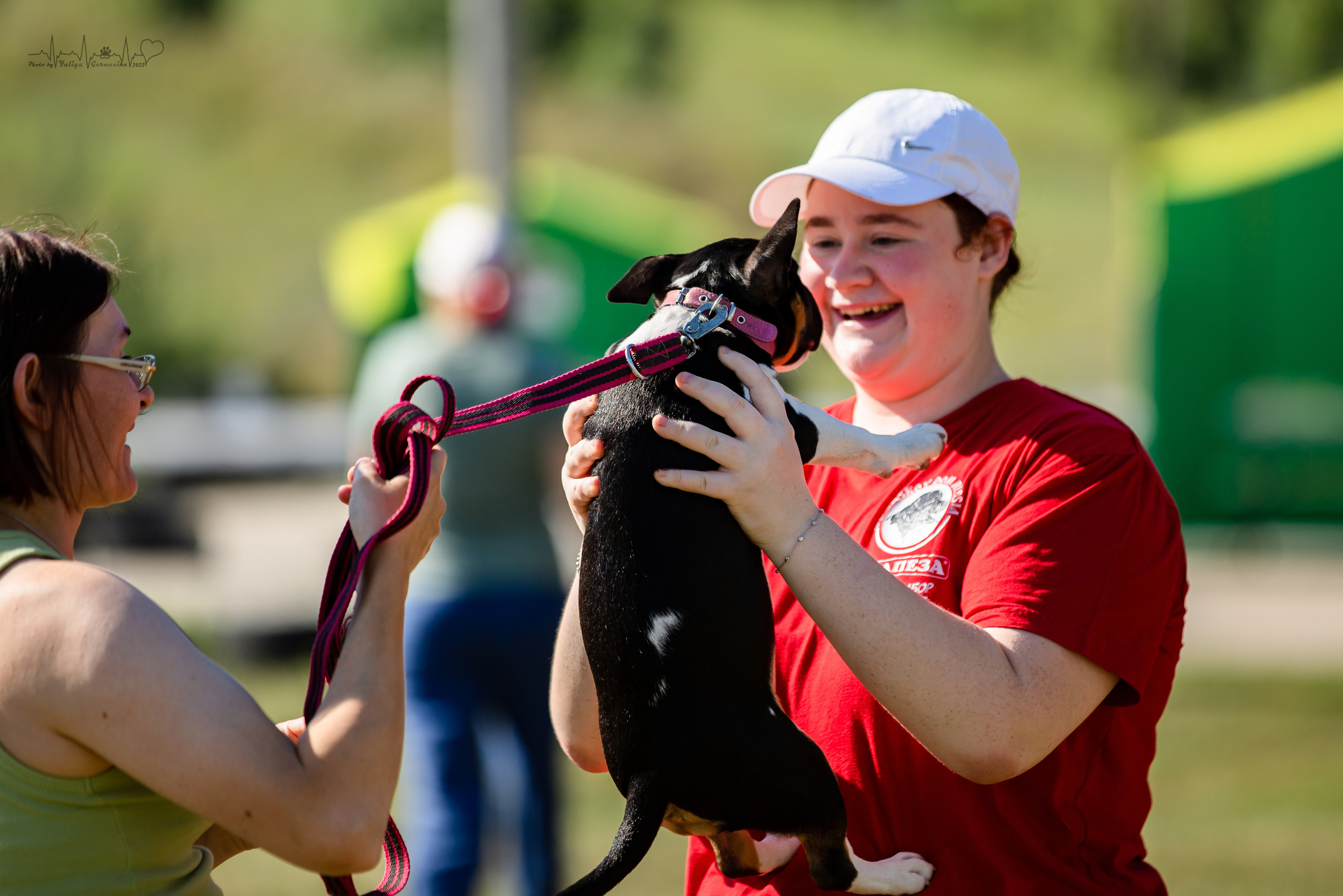 Рязань моно ротвейлеров 13.08.2022. Фотограф-анималист Юлия Германика