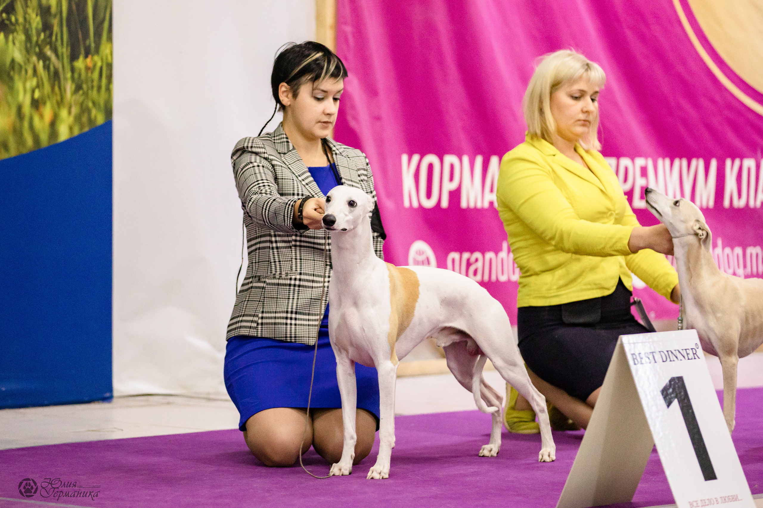 Чайна-Таун 29-30.10.2022. Фотограф-анималист Юлия Германика