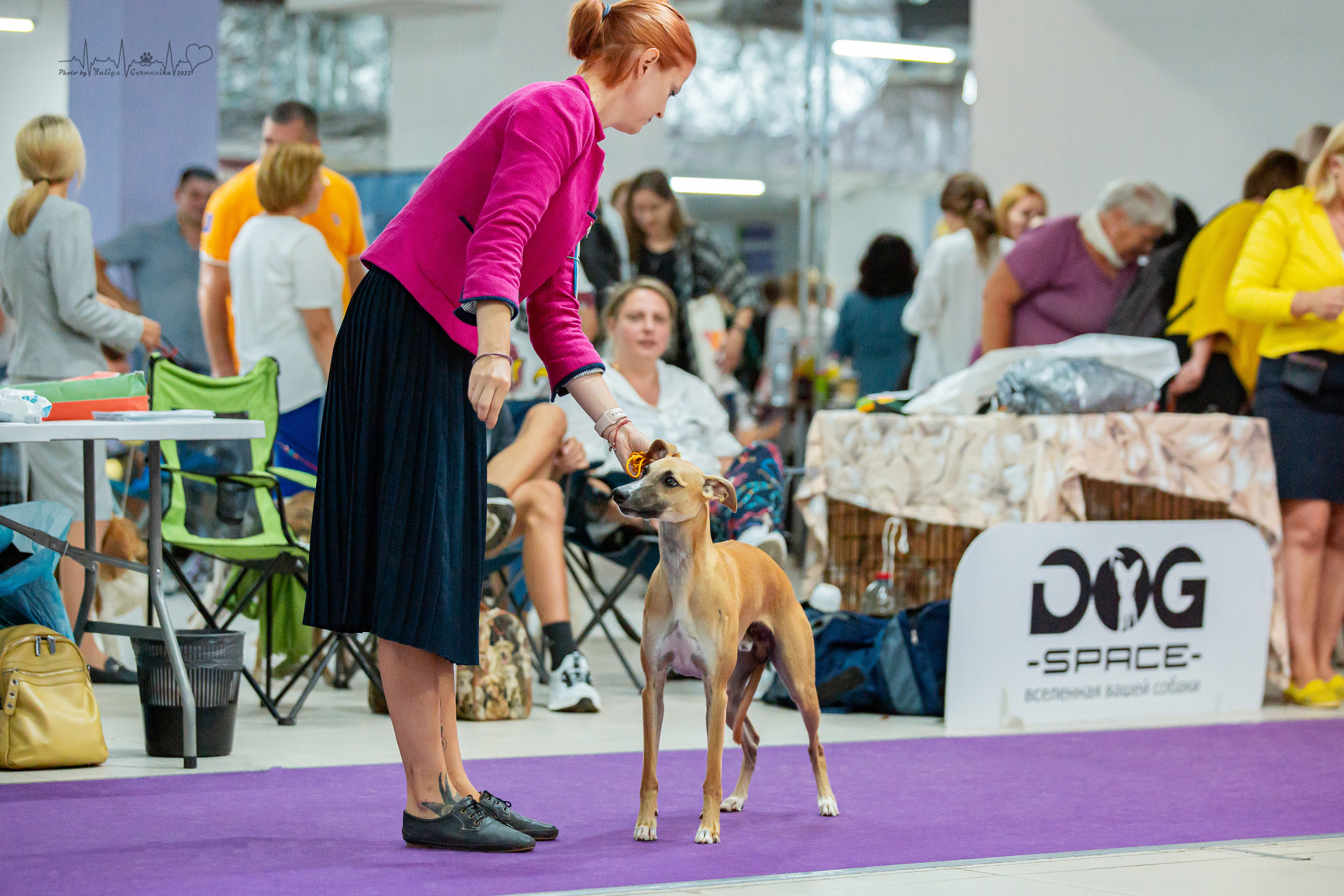 Ховрино 31.07,Чайна-Таун 6.08,Тверь 7.08. Фотограф-анималист Юлия Германика