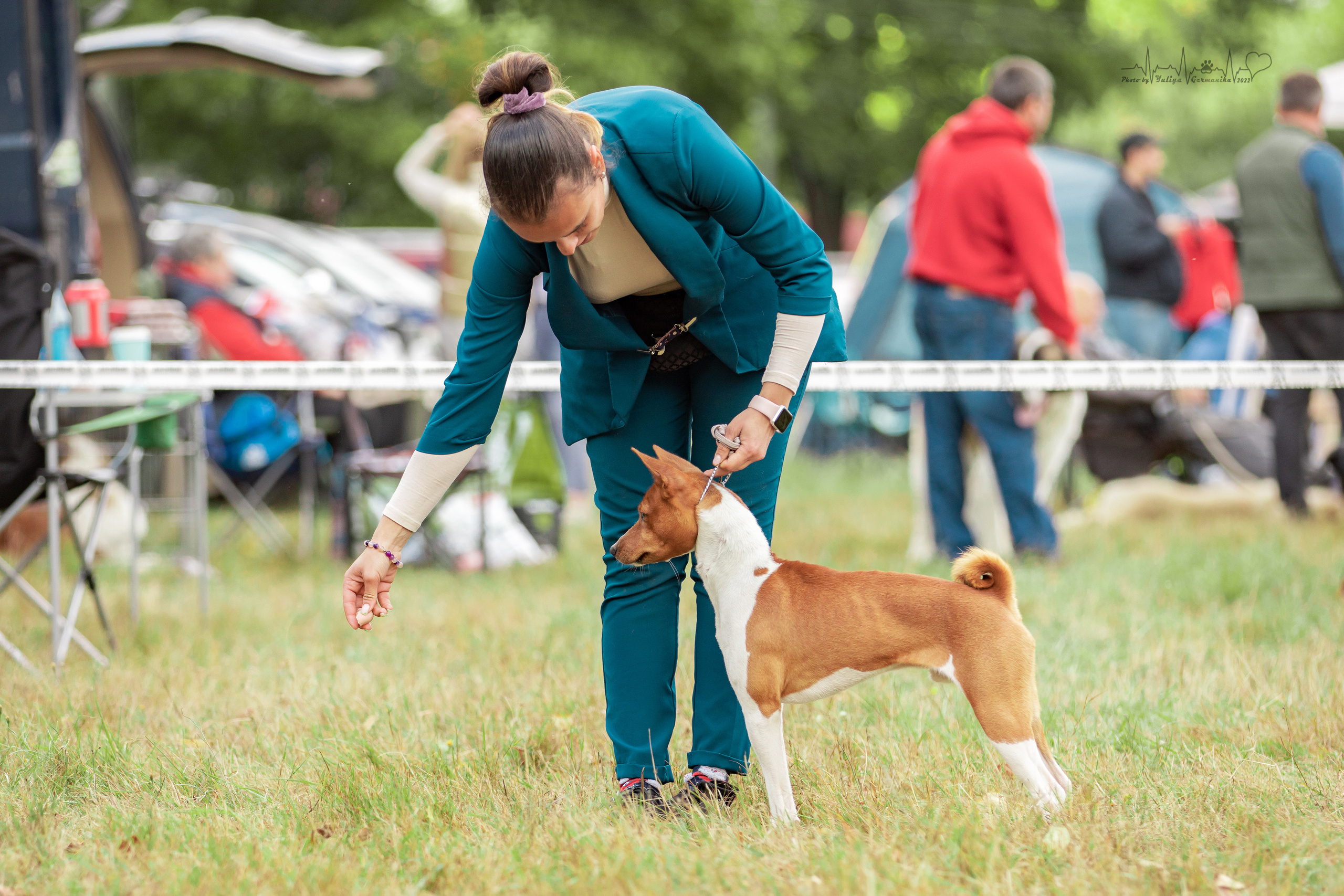 Пушкино ЧРКФ 17.09.2022. Фотограф-анималист Юлия Германика