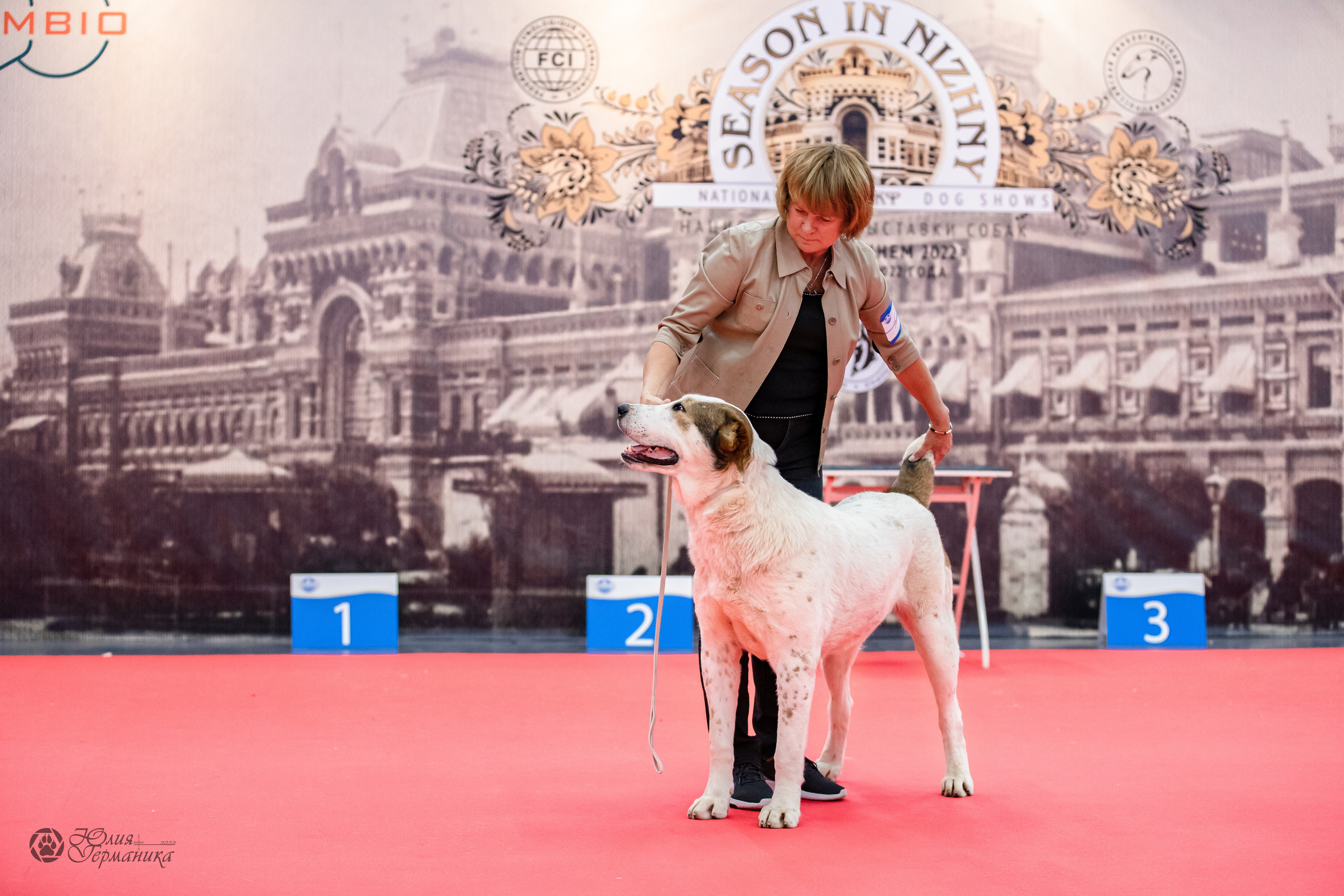 Нижний Новгород 15-16.10.2022. Фотограф-анималист Юлия Германика