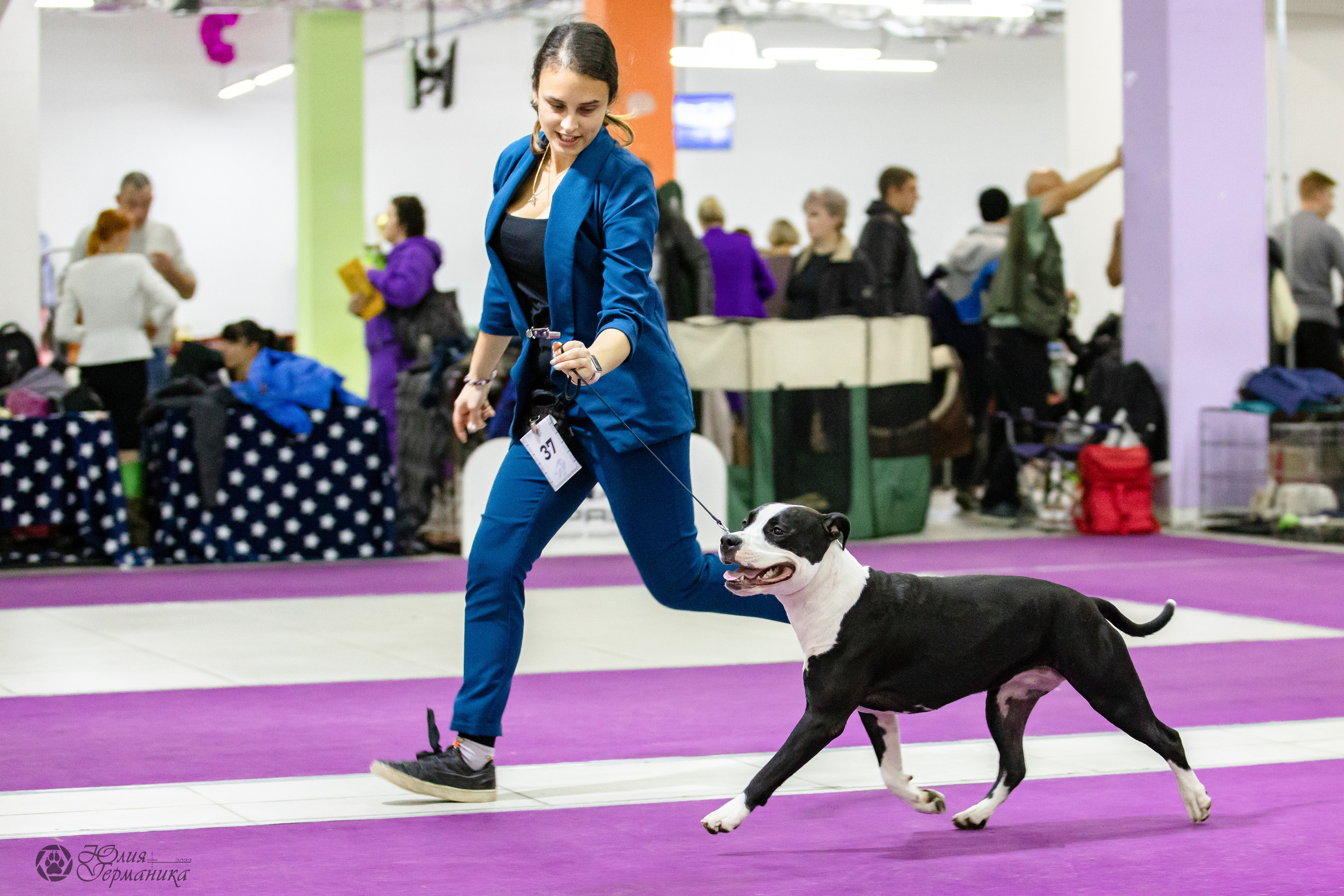 Чайна-Таун 29-30.10.2022. Фотограф-анималист Юлия Германика