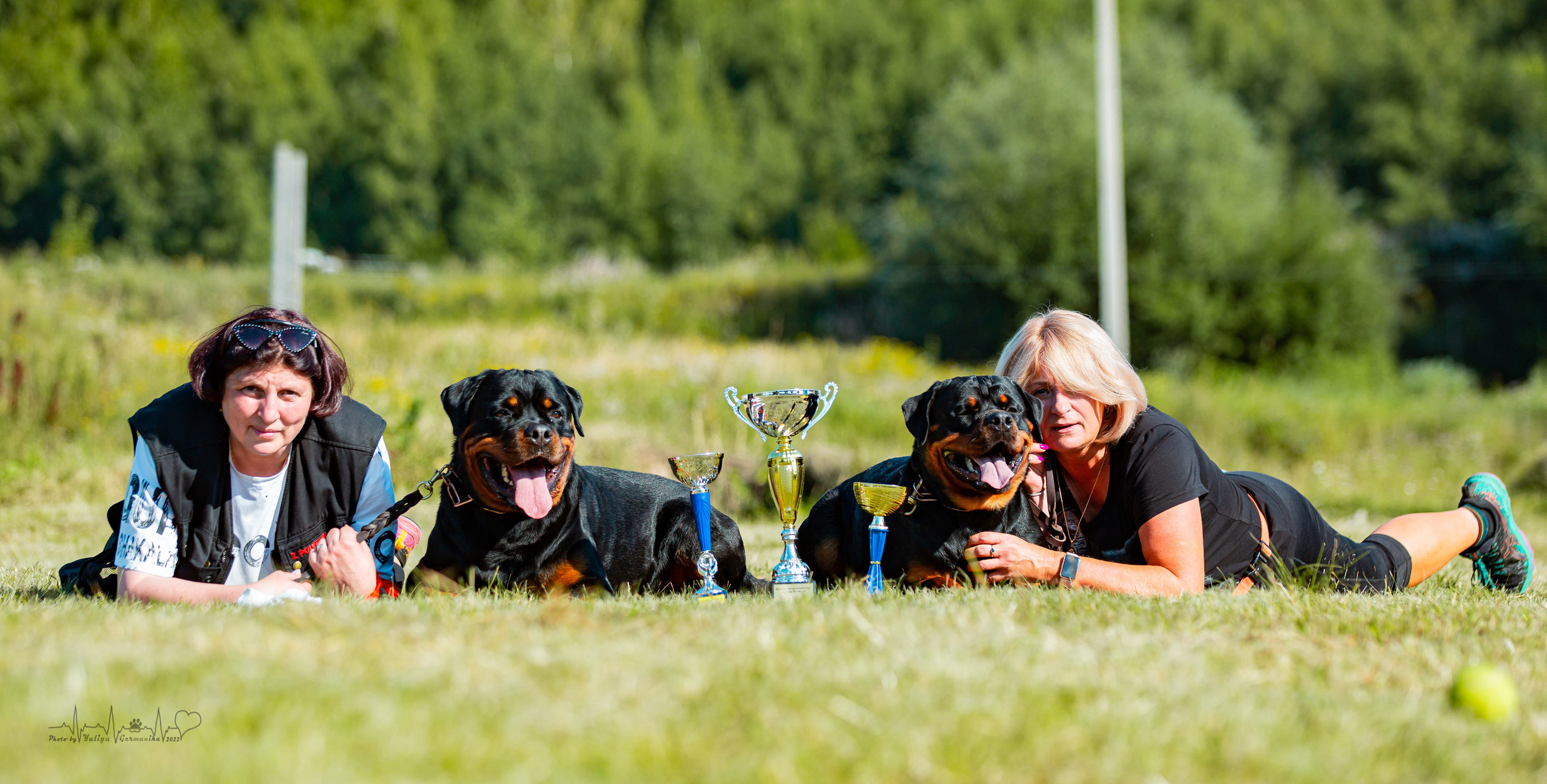 Рязань моно ротвейлеров 13.08.2022. Фотограф-анималист Юлия Германика