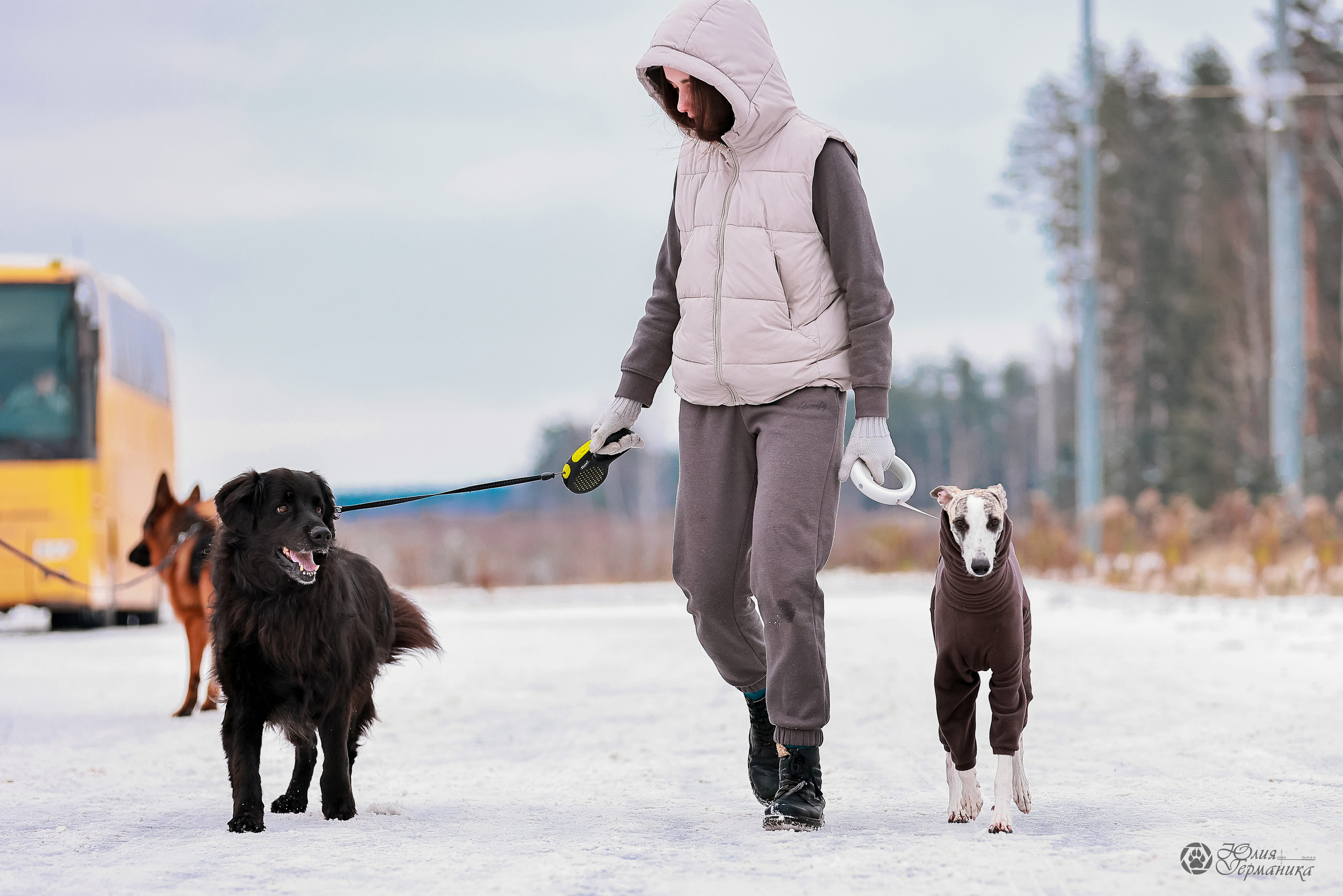 Минск 19-20.11.2022. Фотограф-анималист Юлия Германика