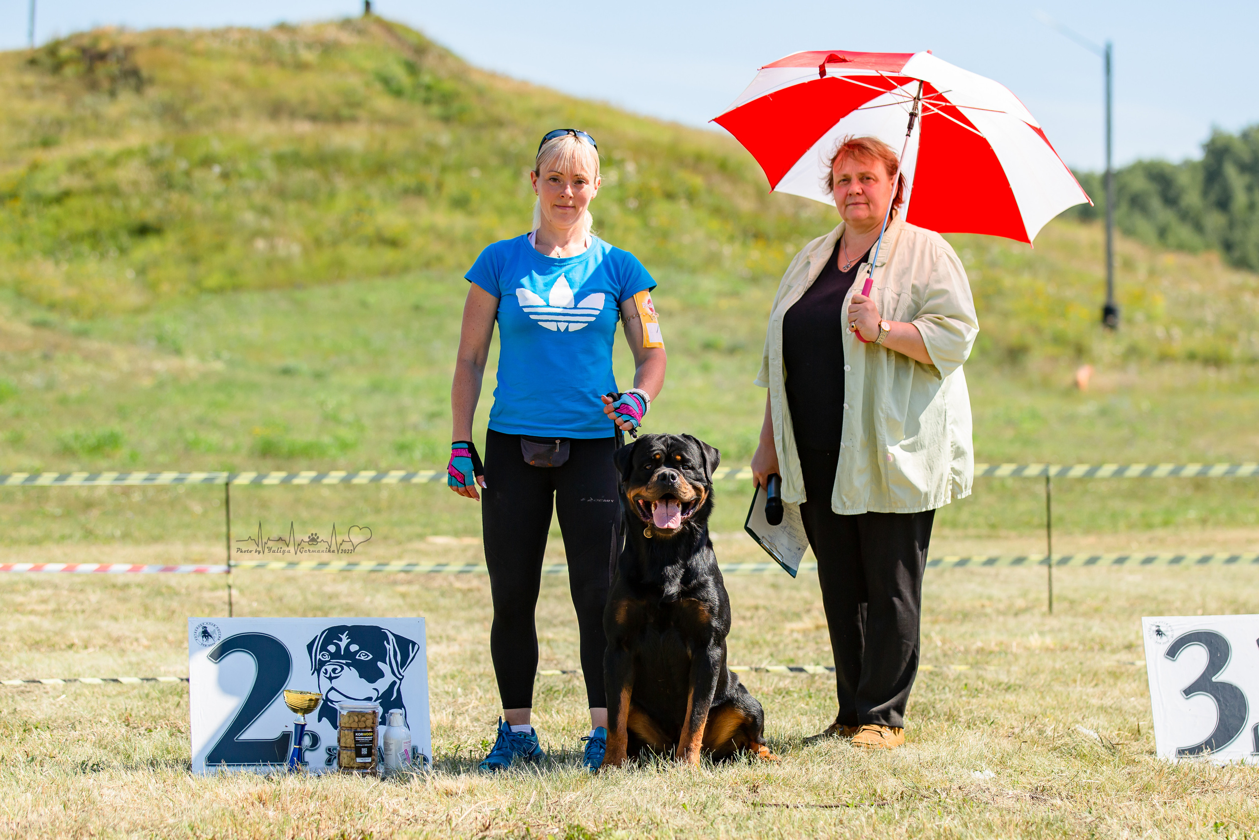 Рязань моно ротвейлеров 13.08.2022. Фотограф-анималист Юлия Германика