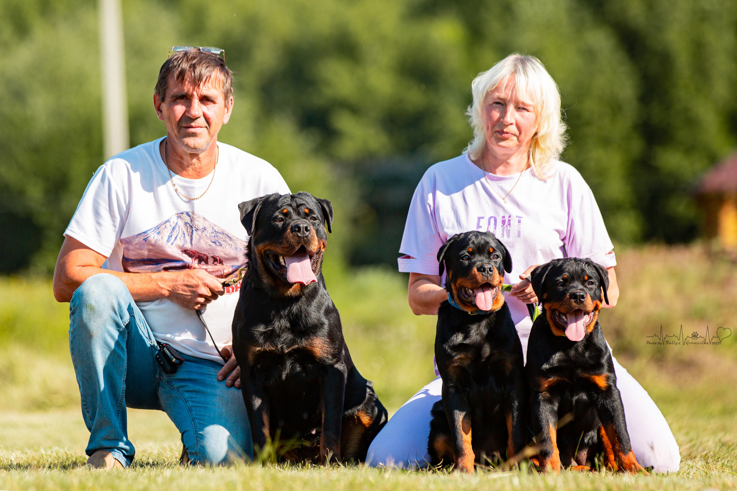 Рязань моно ротвейлеров 13.08.2022. Фотограф-анималист Юлия Германика