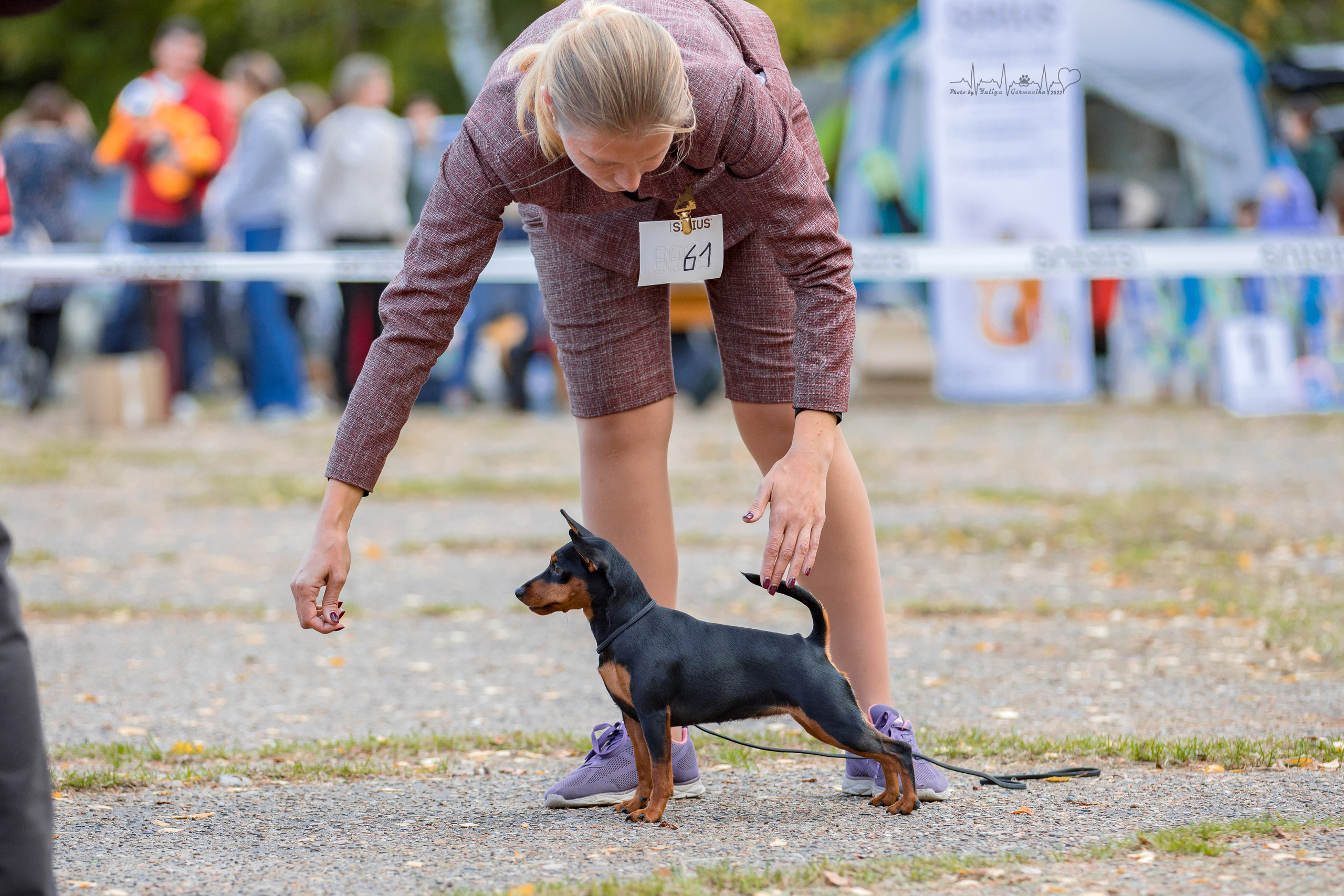 Тверь ЧРКФ 18.09.2022. Фотограф-анималист Юлия Германика
