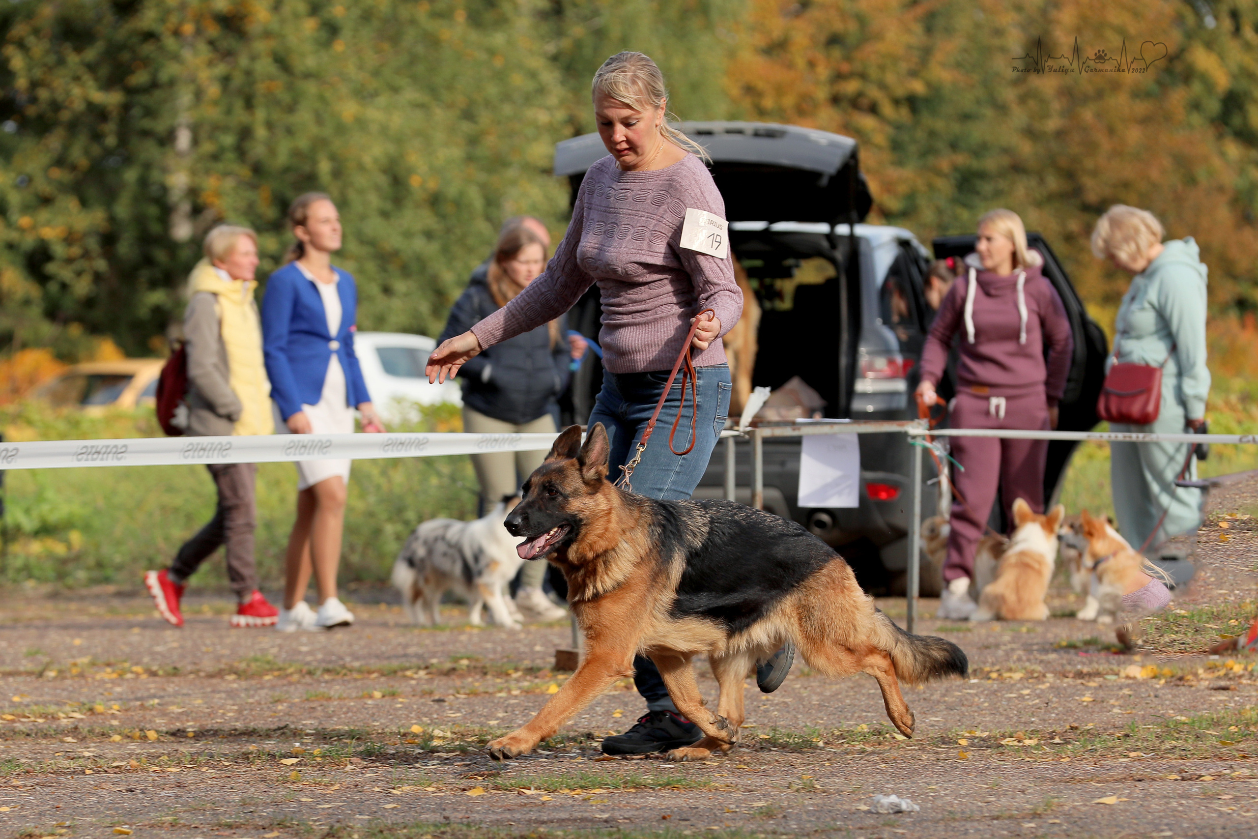 Тверь ЧРКФ 18.09.2022. Фотограф-анималист Юлия Германика