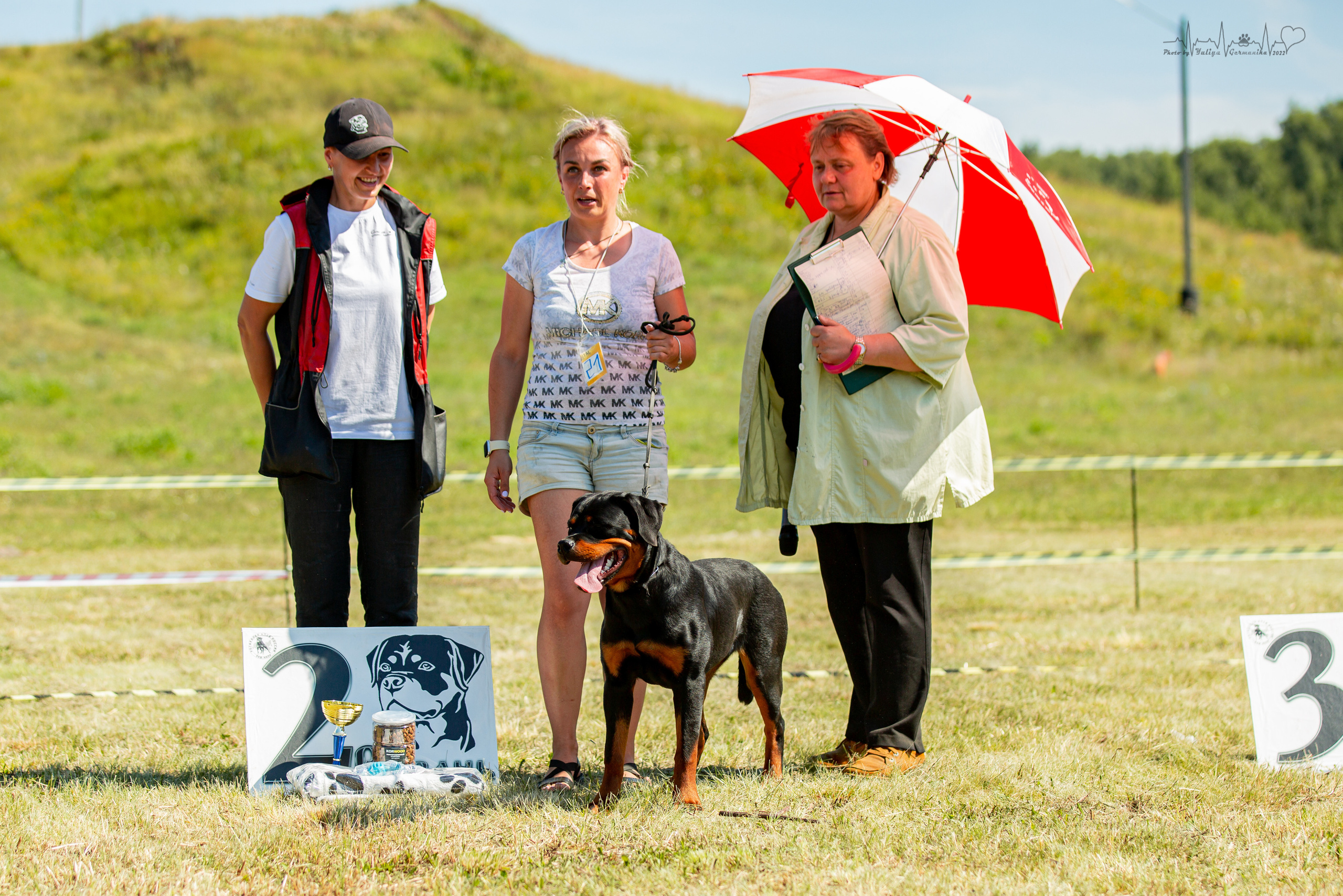 Рязань моно ротвейлеров 13.08.2022. Фотограф-анималист Юлия Германика